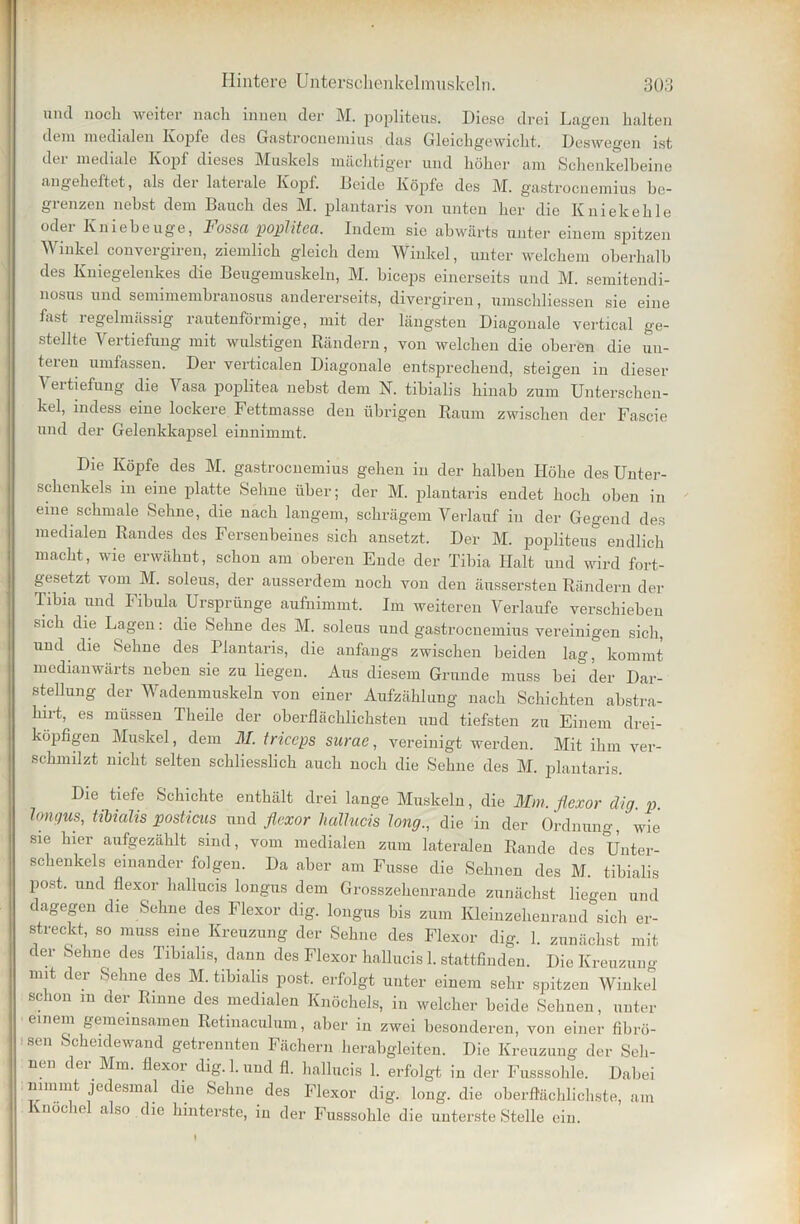 und noch weiter nach innen der M. poplitens. Diese drei Lagen halten dem medialen Kopfe des Gastroenemius das Gleichgewicht, Deswegen ist der mediale Kopf dieses Muskels mächtiger und höher am Schenkelbeine angeheftet, als der laterale Kopf. Beide Köpfe des M. gastroenemius be- grenzen nebst dem Bauch des M. plantaris von unten her die Kniekehle oder Kniebeuge, Fossa poplitca, Indem sie abwärts unter einem spitzen Winkel convergiren, ziemlich gleich dem Winkel, unter welchem oberhalb des Kniegelenkes die Beugemuskeln, M. biceps einerseits und M. semitendi- nosus und semimembranosus andererseits, divergiren, umsekliessen sie eine fast regelmässig rautenförmige, mit der längsten Diagonale vertical ge- stellte Vertiefung mit wulstigen Rändern, von welchen die oberen die uu- tereu umfassen. Der verticalen Diagonale entsprechend, steigen in dieser Vertiefung die Vasa poplitea nebst dem N. tibialis hinab zum Unterschen- kel, indess eine lockere Fettmasse den übrigen Raum zwischen der Fascie und der Gelenkkapsel einnimmt. Die Köpfe des M. gastroenemius gehen in der halben Höhe des Unter- schenkels in eine platte Sehne über; der M. plantaris endet hoch oben in eine schmale Sehne, die nach langem, schrägem Verlauf in der Gegend des medialen Randes des Fersenbeines sich ansetzt. Der M. poplitens endlich macht, wie erwähnt, schon am oberen Ende der Tibia Halt und wird fort- gesetzt vom M. soleus, der ausserdem noch von den änssersten Rändern der Tibia und Fibula Ursprünge aufnimmt. Im weiteren Verlaufe verschieben sich die Lagen: die Sehne des M. soleus und gastroenemius vereinigen sich, und die Sehne des Plantaris, die anfangs zwischen beiden lag, kommt medianwärts neben sie zu liegen. Aus diesem Grunde muss bei der Dar- stellung der Wadenmuskeln von einer Aufzählung nach Schichten abstra- hntj es müssen Theile der oberflächlichsten und tiefsten zu Einem drei- köpfigen Muskel, dem M. triccps surae, vereinigt werden. Mit ihm ver- schmilzt nicht selten schliesslich auch noch die Sehne des M. plantaris. Die tiefe Schichte enthält drei lange Muskeln, die Mm. flexor dig. p. longus, tibialis posticus und flexor halhicis long., die in der Ordnung, wie sie hier aufgezählt sind, vom medialen zum lateralen Rande des Unter- schenkels einander folgen. Da aber am Fusse die Sehnen des M. tibialis post, und flexor hallucis longus dem Grosszehenrande zunächst liegen und dagegen die Sehne des Flexor dig. longus bis zum Kleinzehenrand sich er- streckt, so muss eine Kreuzung der Sehne des Flexor dig. 1. zunächst mit der Sehne des Tibialis, dann des Flexor hallucis 1. stattfinden. Die Kreuzung mit der Sehne des M. tibialis post, erfolgt unter einem sehr spitzen Winkel schon m der Rinne des medialen Knöchels, in welcher beide Sehnen, unter einem gemeinsamen Retinaculum, aber in zwei besonderen, von einer fibrö- sen Scheidewand getrennten Fächern herabgleiten. Die Kreuzung der Seh- nen dei Mm. flexoi dig. 1. und fl. hallucis 1. erfolgt in der Fusssohle. Dabei mmmt jedesmal die Sehne des Flexor dig. long. die oberflächlichste, am viiöc le also die hinterste, in der Fusssohle die unterste Stelle ein.