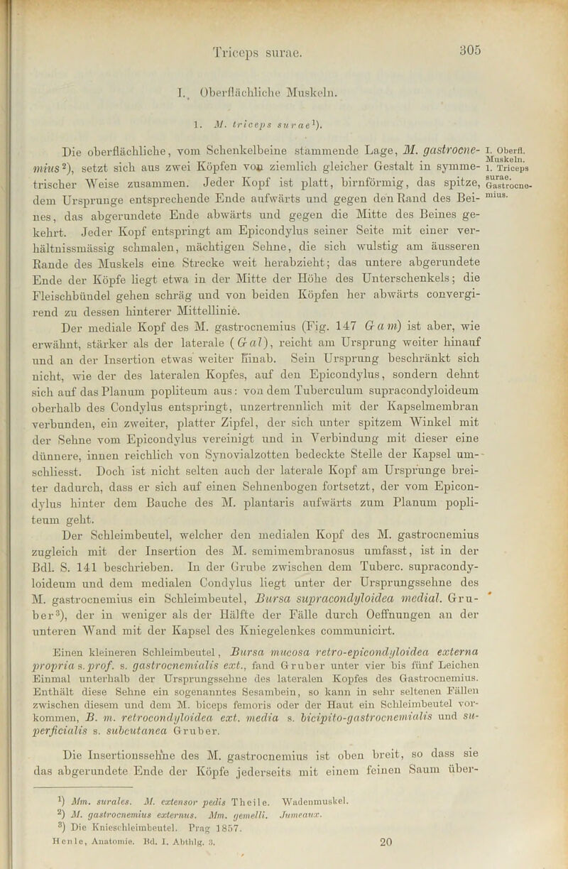 I.t Oberflächliche Muskeln. 1. M. triceps suraeJ). Die oberflächliche, vom Schenkelbeine stammende Lage, M. gastrocne- mius2), setzt sich aus zwei Köpfen von ziemlich gleicher Gestalt in symme- trischer Weise zusammen. Jeder Kopf ist platt, birnförmig, das spitze, dem Ursprünge entsprechende Ende aufwärts und gegen den Rand des Bei- nes, das abgerundete Ende abwärts und gegen die Mitte des Beines ge- kehrt. Jeder Kopf entspringt am Epicondylus seiner Seite mit einer ver- hältnissmässig schmalen, mächtigen Sehne, die sich wulstig am äusseren Rande des Muskels eine Strecke weit herabzieht; das untere abgerundete Ende der Köpfe Hegt etwa in der Mitte der Höhe des Unterschenkels; die Fleischbündel gehen schräg und von beiden Köpfen her abwärts convergi- rend zu dessen hinterer Mittellinie. Der mediale Kopf des M. gastrocnemius (Fig. 147 Gant) ist aber, wie erwähnt, stärker als der laterale (Gal), reicht am Ursprung weiter hinauf und an der Insertion etwas weiter Hinab. Sein Ursprung beschränkt sich nicht, wie der des lateralen Kopfes, auf den Epicondylus, sondern dehnt sich auf das Planum popliteum aus: von dem Tuberculum supracondyloideum oberhalb des Condylus entspringt, unzertrennlich mit der Kapselmembran verbunden, ein zweiter, platter Zipfel, der sich unter spitzem Winkel mit der Sehne vom Epicondylus vereinigt und in Verbindung mit dieser eine dünnere, innen reichlich von Synovialzotten bedeckte Stelle der Kapsel um- schliesst. Doch ist nicht selten auch der laterale Kopf am Ursprünge brei- ter dadurch, dass er sich auf einen Sehnenbogen fortsetzt, der vom Epicon- dylus hinter dem Bauche des M. plantaris aufwärts zum Planum popli- teum geht. Der Schleimbeutel, welcher den medialen Kopf des M. gastrocnemius zugleich mit der Insertion des M. semimembranosus umfasst, ist in der BdL S. 141 beschrieben. In der Grube zwischen dem Tuberc. supracondy- loidenm und dem medialen Condylus liegt unter der Ursprungssehne des M. gastrocnemius ein Schleimbeutel, Bursa supracondyloidea medial. Gru- ber3), der in weniger als der Hälfte der Fälle durch Oeffnungen an der unteren Wand mit der Kapsel des Kniegelenkes communicirt. Einen kleineren Schleimbeutel, Bursa mucosa retro-epicondyloidea externa propria s.prof. s. gastrocnemialis ext., fand Gruber unter vier bis fünf Leichen Einmal unterhalb der Ursprungssebne des lateralen Kopfes des Gastrocnemius. Enthält diese Sehne ein sogenanntes Sesambein, so kann in sehr seltenen Fällen zwischen diesem und dem M. hiceps femoris oder der Haut ein Schleimbeutel Vor- kommen, B. m. retrocondyloidea ext. media s. bicipito-gastrocnemialis und su- perficialis s. subcutanea Gruber. Die Insertionssehne des M. gastrocnemius ist oben breit, so dass sie das abgerundete Ende der Köpfe jederseits mit einem feinen Saum über- b Mm. surales. M. extensor pedis Theile. Wadenmuskel. 2) M. gastrocnemius externus. Mm. gemellt. Jumeaux. 8) Die Kniesehleimbeutel. Prag 1857. Heule, Anatomie. Bd. I. Abthlg. 3. 20 I. Oberfl. Muskeln. 1. Triceps surae. Gastrocne- mius.