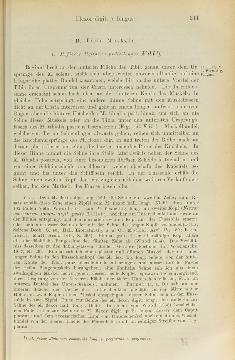 Flexor digit. p. longus. II. T i e f e Muskel u. M. flexor digitorüm pedis lontjus JTdl1). Beginnt breit an der hinteren Fläche der Tibia genau unter dem Ur- sprünge des M. soleus, zieht sich aber Weiter abwärts allmälig auf eine Längsreihe platter Bündel zusammen, welche bis an das untere Viertel der Tibia ihren Ursprung von der Crista interossea nehmen. Die Insertions- sehne erscheint schon hoch oben an der hinteren Kante des Muskels; in gleicher Höhe entspringt eine andere, dünne Sehne mit den Muskelfasern dicht an der Crista interossea und geht in einem langen, aufwärts concaven Bogen über die hintere Fläche des M. tibialis post, hinab, um sich an die Sehne dieses Muskels oder an die Tibia unter den untersten Ursprungs- fasern des M. tibialis posticus festzusetzen (Fig. 150 FdV). Muskelbünde], welche von diesem Sehnenbogen abwärts gehen, reihen sich unmittelbar an die Knochenursprünge des M. flexor dig. an und treten der Reihe nach an dessen platte Insertionssehne, die letzten über der Rinne des Knöchels. In dieser Rinne nimmt die Sehne ihre Stelle lateralwärts neben der Sehne des M. tibialis posticus, von einer besonderen fibrösen Scheide festgehalten und von einer Schleimscheide umschlossen, welche oberhalb des Knöchels be- ginnt und bis unter das Schiffbein reicht. In der Fusssohle erhält die Sehne einen zweiten Kopf, den ich, zugleich mit dem weiteren Verlaufe der- selben, bei den Muskeln des Fusses beschreibe. V a r. Dem M. flexor dig. long. fehlt die Sehne zur zweiten Zehe; zum Er- satz erhält diese Zehe einen Zipfel vom M. flexor hall. long. Nicht selten (unter 102 Fällen 5 Mal Wood) stösst zum M. flexor dig. long. ein zweiter Kopf (Flexor accessorius longus digit. pedis Halle tt), welcher am Unterschenkel und zwar an der Fibula entspringt und den normalen zweiten Kopf aus der Fusssohle ersetzt, oder sich mit dessen Sehne oder mit der Sehne des langen Kopfes verbindet (0 tto, Seltene Beob., S. 40; Hall. Literaturztg. a. a. 0. Meckel, Arch. IV, 480; Rein- hardt, Müll. Arch. 1846, S. 298). Einmal gab dieser überzählige Kopf allein die oberflächliche Beugesehne der fünften Zehe ab (Wood 1864). Das Verhält- niss desselben zu den Tibialgefässen schildert Gläser (Berliner klin. Wochensclir. 1867, Nr. 29). Einmal sah ich einen platten und dünnen Muskel, der mit einer langen Sehne in den Fusssohlenkopf des M. flex. dig. long. endete, von der hinte- ren Kante der Tibia ganz oberflächlich entspringen und aussen auf der Fascie der tiefen Beugemuskeln herabgehen; eine ähnliche Sehne sah ich aus einem zweiköpfigen Muskel hervorgehen, dessen beide Köpfe, spitzAvinklig convergirend, ihren Ursprung von der äusseren Fläche der tiefen Untersclienkelfascie, etwa im unteren Drittel des Unterschenkels, nahmen. Turner (a. a. 0.) sah an der inneren Fläche der Fascie des Unterschenkels ungefähr in der Mitte seiner Höhe mit zwei Köpfen einen Muskel entspringen, dessen Sehne sich in der Fuss- sohle in zwei Zipfel, Einen zur Sehne des M. flexor digit. long., den anderen zur Sehne des M. flexor hall, long., theilt. In einem von Wood (1866) beschriebe- nen Falle treten zur Sehne des M. flexor digit. pedis longus ausser dem Caput plantare und dem accessorisclien Kopf vom Unterschenkel noch ein dünnes Muskel- bündel von der oberen Fläche des Fersenbeins und ein sehniger- Streifen vom Lig. plantare. II. Tiefe M. 1. Flex. dig. longus. ') Al. flexor digitorüm communis long. s. perforans s. profundus.