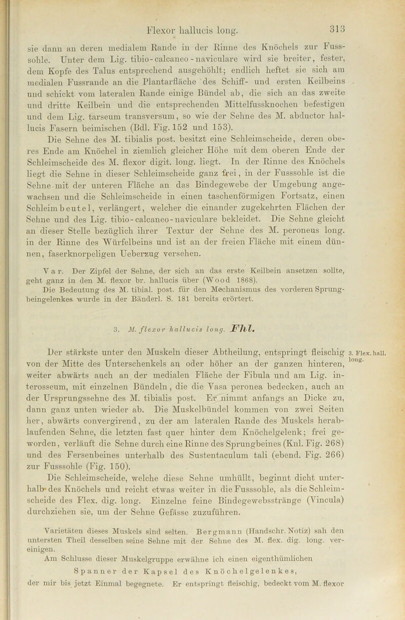sie dann an deren medialem Rande in der Rinne des Knöchels zur Fuss- solile. Unter dem Lig. tibio- calcaneo - uaviculare wird sie breiter, fester, dem Kopfe des Talus entsprechend ausgehöhlt; endlich heftet sie sich am medialen Fussrande an die Plantar fläche des Schiff- und ersten Keilbeins und schickt vom lateralen Rande einige Bündel ab, die sich an das zweite und dritte Keilbein und die entsprechenden Mittelfussknoehen befestigen und dem Lig. tarseum transversum, so wie der Sehne des M. abduetor hal- lucis Fasern heimischen (Bdl. Fig. 152 und 153). Die Sehne des M. tibialis post, besitzt eine Schleimscheide, deren obe- res Ende am Knöchel in ziemlich gleicher Höhe mit dem oberen Ende der Schleimscheide des M. flexor digit. long. liegt. In der Rinne des Knöchels liegt die Sehne in dieser Schleimscheide ganz frei, in der Fusssohle ist die Sehne-mit der unteren Fläche an das Bindegewebe der Umgebung ange- wachsen und die Schleimscheide in einen taschenförmigen Fortsatz, einen Schleimbeutel, verlängert, welcher die einander zugekehrten Flächen der Sehne und des Lig. tibio-calcaneo-naviculare bekleidet. Die Sehne gleicht an dieser Stelle bezüglich ihrer Textur der Sehne des M. peroneus long. in der Rinne des Würfelbeins und ist an der freien Fläche mit einem dün- nen, faserknorpeligen Ueberzug versehen. Y a r. Der Zipfel der Seime, der sich an das erste Keilbein ansetzen sollte, geht ganz in den M. flexor br. hallucis über (Wood 1868). Die Bedeutung des M. tibial. post, für den Mechanismus des vorderen Sprung- heingelenkes wurde in der Bänderl. S. 181 bereits erörtert. 3. M. flexor hallucis long. JfJll. Der stärkste unter den Muskeln dieser Abtheilung, entspringt fleischig von der Mitte des Unterschenkels an oder höher an der ganzen hinteren, weiter abwärts auch an der medialen Fläche der Fibula und am Lig. in- terosseum, mit einzelnen Bündeln, die die Yasa peronea bedecken, auch an der Ursprungssehne des M. tibialis post. Er nimmt anfangs an Dicke zu, dann ganz unten wieder ab. Die Muskelbündel kommen von zwei Seiten her, abwärts convergirend, zu der am lateralen Rande des Muskels herab- laufenden Sehne, die letzten fast quer hinter dem Knöchelgelenk; frei ge- worden, verläuft die Sehne durch eine Rinne des Sprungbeines (Knl. Fig. 268) und des Fersenbeines unterhalb des Sustentaculum tali (ebend. Fig. 266) zur Fusssohle (Fig. 150). Die Schleimscheide, welche diese Sehne umhüllt, beginnt dicht unter- halb* des Knöchels und reicht etwas weiter in die Fusssohle, als die Schleim- scheide des Flex. dig. long. Einzelne feine Bindegewebsstränge (Vincula) durchziehen sie, um der Sehne Gefässe zuzuführen. Varietäten dieses Muskels sind selten. Bergmann (Handschr.Notiz) sah den untersten Theil desselben seine Sehne mit der Sehne des M. flex. dig. long. ver- einigen. Am Schlüsse dieser Muskelgruppe erwähne ich einen eigenthiimlichen Spanner der Kapsel des Knöchelgelenkes, der mir bis jetzt Einmal begegnete. Er entspringt fleischig, bedeckt vom M. flexor 3. Flex. hall, long.