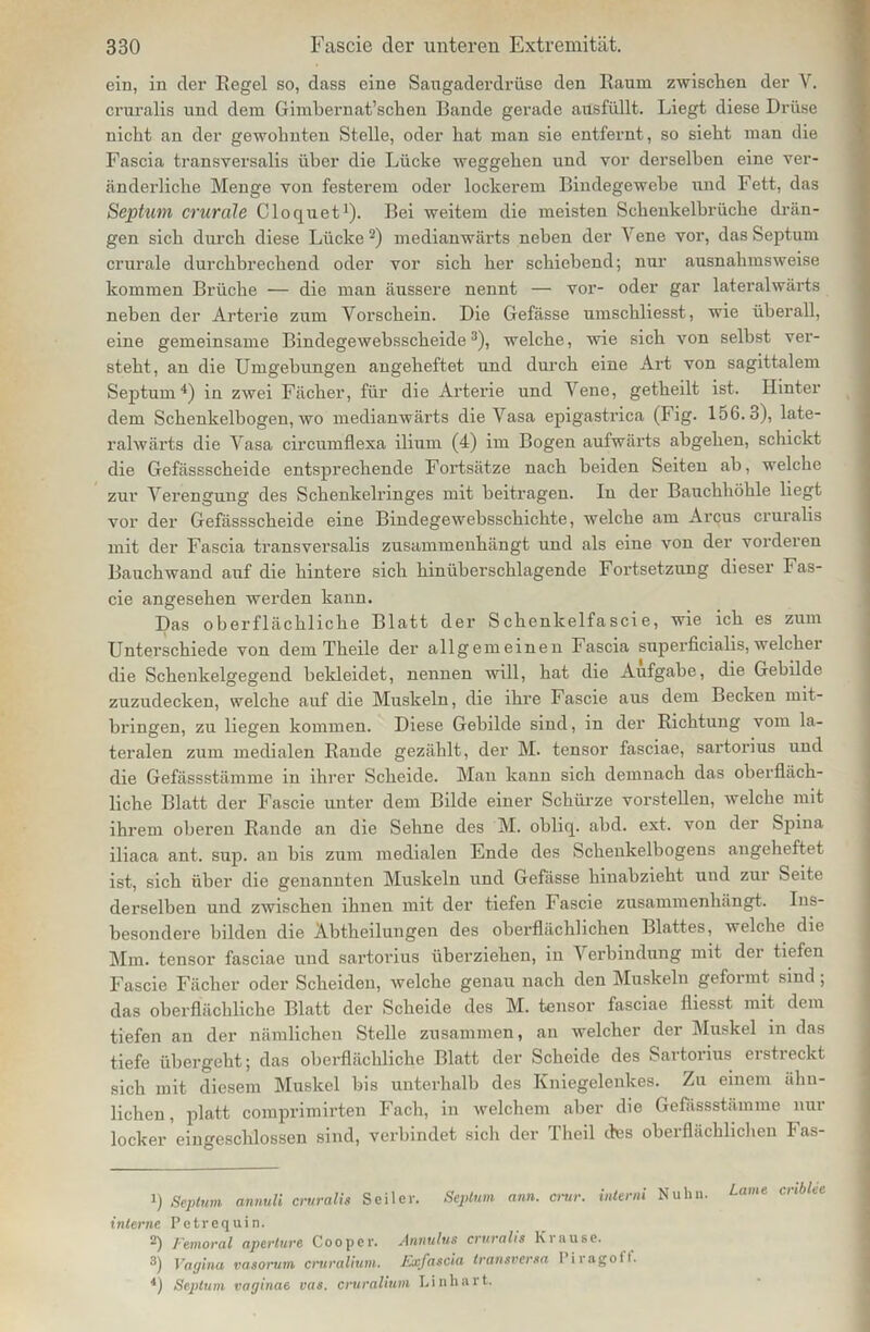ein, in der Regel so, dass eine Saugadei’drüse den Raum zwischen der Y. cruralis und dem Gimbernat’sclien Bande gerade ausfüllt. Liegt diese Drüse nicht an der gewohnten Stelle, oder hat man sie entfernt, so sieht man die Fascia transversalis über die Lücke Weggehen und vor derselben eine ver- änderliche Menge von festerem oder lockerem Bindegewebe und Fett, das Septum crurale Cloquet1). Bei weitem die meisten Schenkelbrüche drän- gen sich durch diese Lücke2) medianwärts neben der Yene vor, das Septum crurale durchbrechend oder vor sich her schiebend; nur ausnahmsweise kommen Brüche — die man äussere nennt — vor- oder gar lateralwärts neben der Arterie zum Vorschein. Die Gefässe umschliesst, wie überall, eine gemeinsame Bindegewebsscheide3), welche, wie sich von selbst ver- steht, an die Umgebungen angeheftet und durch eine Art von sagittalem Septum4) in zwei Fächer, für die Arterie und Vene, getheilt ist. Hinter | dem Schenkelbogen, wo medianwärts die Vasa epigastrica (Fig. 156.3), late- ralwärts die Vasa circumflexa ilium (4) im Bogen aufwärts abgehen, schickt die Gefässscheide entsprechende Fortsätze nach beiden Seiten ab, welche zur Verengung des Schenkelringes mit beitragen. In der Bauchhöhle liegt vor der Gefässscheide eine Bindegewebsschichte, welche am Arcus cruralis mit der Fascia transversalis zusammenhängt und als eine von der vorderen Bauchwand auf die hintere sich hinüberschlagende Fortsetzung dieser Fas- cie angesehen werden kann. Das oberflächliche Blatt der Schenkelfascie, wie ich es zum Unterschiede von dem Theile der allgemeinen Fascia superficialis, welcher die Schenkelgegend bekleidet, nennen will, hat die Aufgabe, die Gebilde zuzudecken, welche auf die Muskeln, die ihre Fascie aus dem Becken mit- bringen, zu liegen kommen. Diese Gebilde sind, in der Richtung vom la- teralen zum medialen Rande gezählt, der M. tensor fasciae, Sartorius und die Gefässstämme in ihrer Scheide. Man kann sich demnach das oberfläch- liche Blatt der Fascie unter dem Bilde einer Schürze vorstellen, welche mit ihrem oberen Rande an die Sehne des M. obliq. abd. ext. von der Spina iliaca ant. sup. an bis zum medialen Ende des Schenkelbogens angeheftet ist, sich über die genannten Muskeln und Gefässe hinabzieht und zur Seite derselben und zwischen ihnen mit der tiefen Fascie zusammenhängt. Ins- besondere bilden die Abtheilungen des oberflächlichen Blattes, welche die Mm. tensor fasciae und sartorius überziehen, in V erbindung mit der tiefen Fascie Fächer oder Scheiden, welche genau nach den Muskeln geformt sind ; das oberflächliche Blatt der Scheide des M. tensor fasciae fiiesst mit dem tiefen an der nämlichen Stelle zusammen, an welcher der Muskel in das tiefe übergeht; das oberflächliche Blatt der Scheide des Sartorius erstreckt sich mit diesem Muskel bis unterhalb des Kniegelenkes. Zu einem ähn- lichen, platt comprimirten Fach, in welchem aber die Gefässstämme nur locker eingeschlossen sind, verbindet sich der Theil des oberflächlichen Fas- 1) Septum annuli cruralis Seiler. Septum ann. crur. interni Nuhn. Lame cnblee interne Petrequin. 2) Femoral aperture Cooper. Annulus cruralis Klause. 3) Vagina vasorum cruralium. Exfascia transversa I iragoit. 4J Septum vaginae vas. cruralium Linhart.