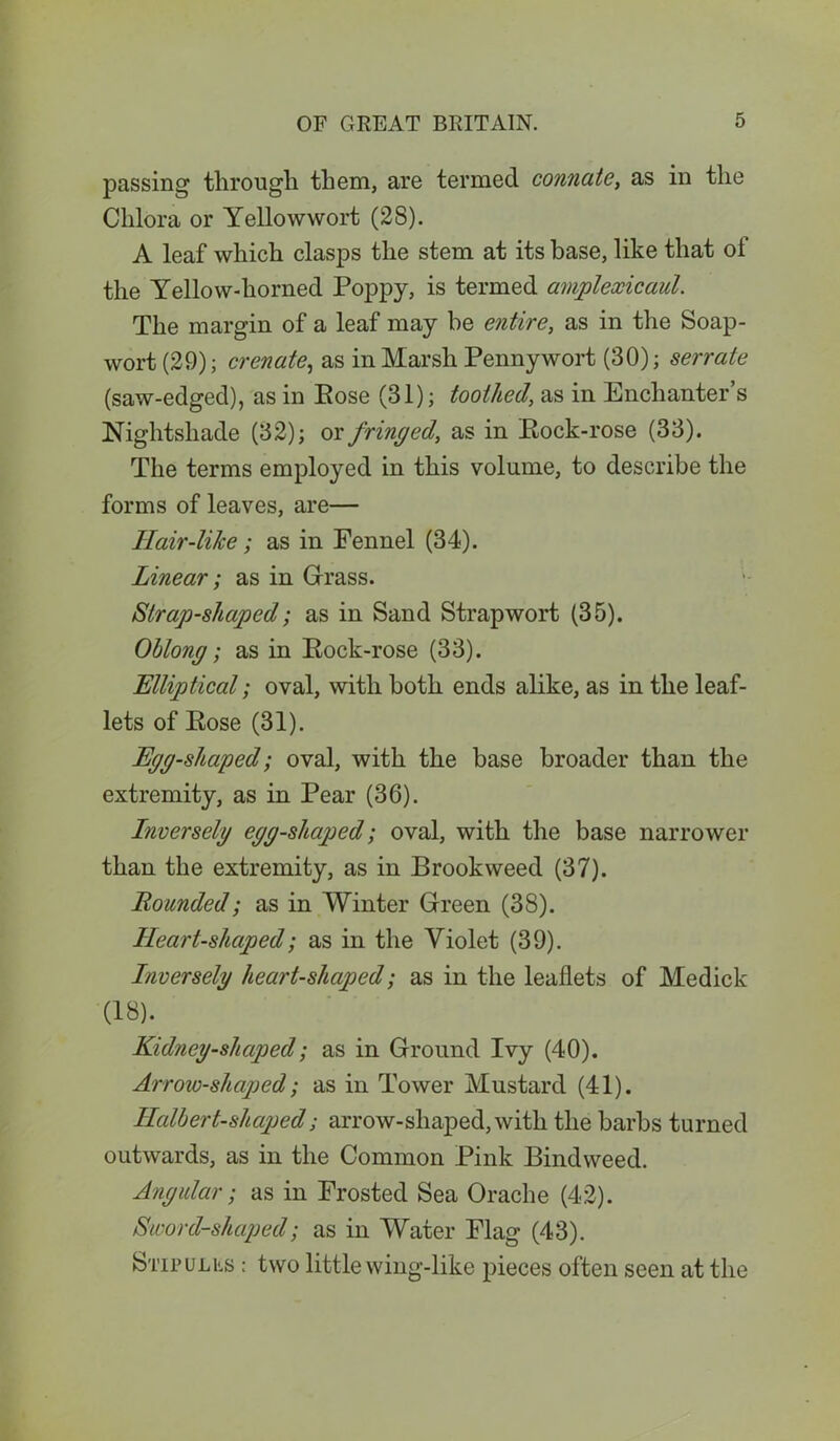 passing through them, are termed connate, as in the Chlora or Yellowwort (28). A leaf which clasps the stem at its base, like that oi the Yellow-horned Poppy, is termed aviplexicaul. The margin of a leaf may be entire, as in the Soap- wort (29); crenate, as in Marsh Pennywort (30); serrate (saw-edged), as in Pose (31); toothed, as in Enchanter’s Nightshade (32); ox fringed, as in Bock-rose (33). The terms employed in this volume, to describe the forms of leaves, are— Hair-like; as in Fennel (34). Linear; as in Grass. Strap-shaped; as in Sand Strapwort (35). Ohlong; as in Eock-rose (33). Elliptical; oval, with both ends alike, as in the leaf- lets of Eose (31). Egg-shaped; oval, with the base broader than the extremity, as in Pear (36). Inversely egg-shaped; oval, with the base narrower than the extremity, as in Brook weed (37). Rounded; as in Winter Green (38). Heart-shaped; as in the Violet (39). Inversely heart-shaped; as in the leaflets of Medick (18). Kidney-shaped; as in Ground Ivy (40). Arrow-shaped; as in Tower Mustard (41). Halbert-shaped; arrow-shaped, with the barbs turned outwards, as in the Common Pink Bindweed. Angular i as in Frosted Sea Orache (42). Sword-shaped; as in Water Flag (43). Stipules ; two little wing-like pieces often seen at the