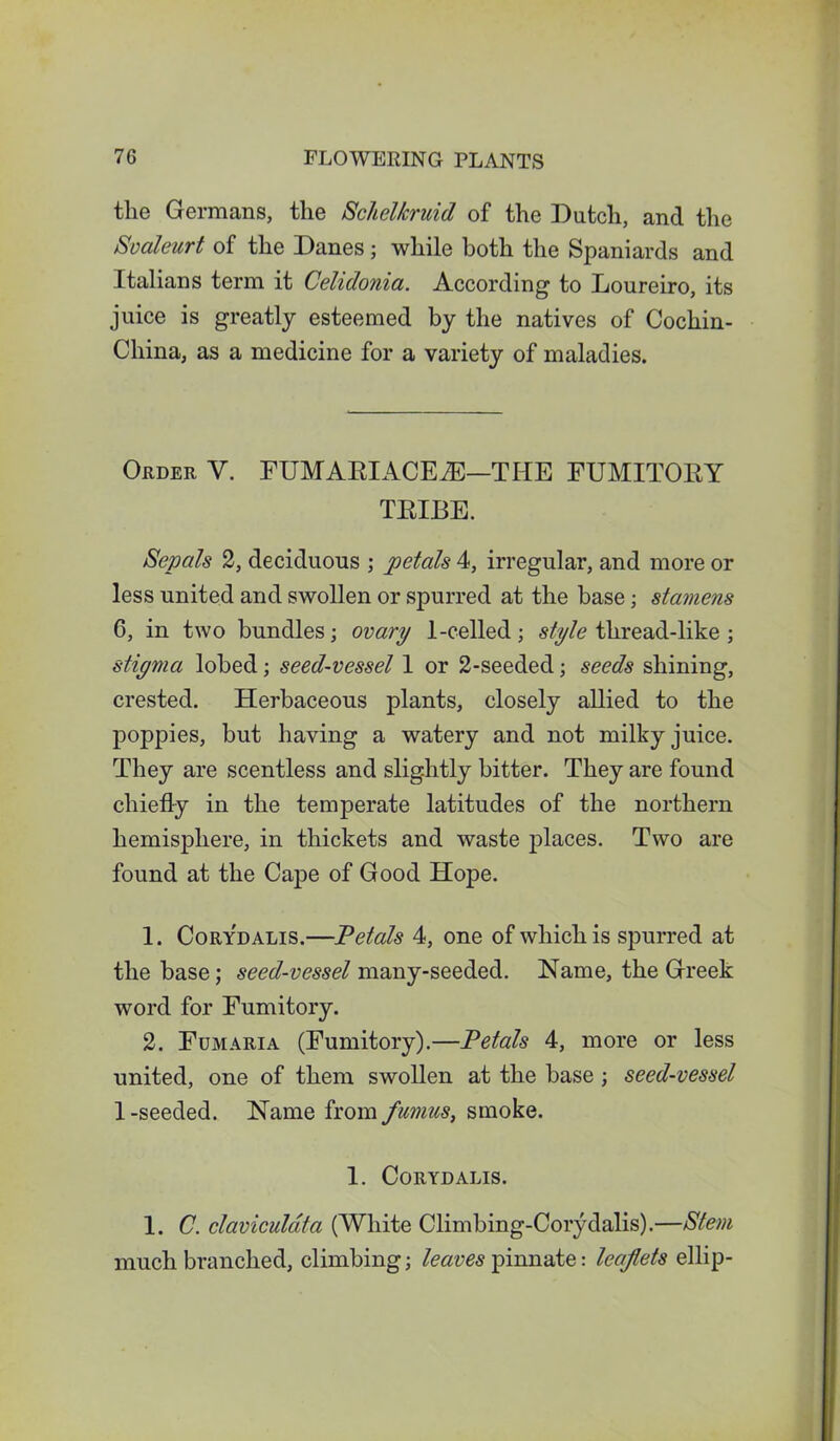 the Germans, the Schel/cruid of the Dutch, and the Svaleurt of the Danes; while both the Spaniards and Italians term it Celidonia. According to Loureiro, its juice is greatly esteemed by the natives of Cochin- China, as a medicine for a variety of maladies. Order V. FUMARIACEiE—THE FUMITORY TRIBE. Sepals 2, deciduous ; petals 4, irregular, and more or less united and swollen or spurred at the base; stamens 6, in two bundles; ovary 1-celled ; style thread-like ; stigma lobed; seed-vessel 1 or 2-seeded; seeds shining, crested. Herbaceous plants, closely allied to the poppies, but having a watery and not milky juice. They are scentless and slightly bitter. They are found chiefly in the temperate latitudes of the northern hemisphere, in thickets and waste jflaces. Two are found at the Cape of Good Hope. 1. Corydalis.—Petals 4, one of which is spurred at the base; seed-vessel many-seeded. Name, the Greek word for Fumitory. 2. Fumaria (Fumitory).—Petals 4, more or less united, one of them swollen at the base ; seed-vessel 1 -seeded. Name from fumus, smoke. 1. Corydalis. 1. C. claviculata (White Climbing-Corydalis).—Stem much branched, climbing; leaves pinnate: leaflets ellip-