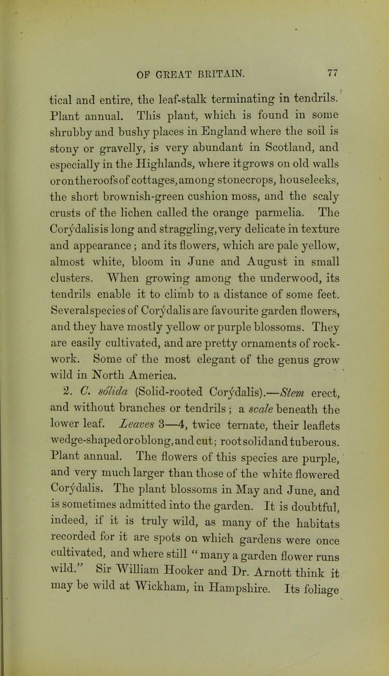 tical and entire, the leaf-stalk terminating in tendrils. Plant annual. This plant, which is found in some shrubby and bushy places in England where the soil is stony or gravelly, is very abundant in Scotland, and especially in the Highlands, where it grows on old walls orontheroofs of cottages, among stonecrops, liouseleeks, the short brownish-green cushion moss, and the scaly crusts of the lichen called the orange parmelia. The Corydalis is long and straggling,very delicate in texture and appearance; and its flowers, which are pale yellow, almost white, bloom in June and August in small clusters. When growing among the underwood, its tendrils enable it to climb to a distance of some feet. Severalspeciesof Corydalis are favourite garden flowers, and they have mostly yellow or purple blossoms. They are easily cultivated, and are pretty ornaments of rock- work. Some of the most elegant of the genus grow wild in North America. 2. C. solida (Solid-rooted Corydalis).—Stem erect, and without branches or tendrils; a scale beneath the lower leaf. Leaves 3—4, twice ternate, their leaflets w edge-shaped or oblong, and cut; rootsolidandtuberous. Plant annual. rIhe flowers of this species are purple, and very much larger than those of the white flowered Corydalis. The plant blossoms in May and June, and is sometimes admitted into the garden. It is doubtful, indeed, if it is truly wild, as many of the habitats recorded for it are spots on which gardens were once cultivated, and where still “ many a garden flower runs wild.” Sir William Hooker and Dr. Arnott think it may be wild at Wickham, in Hampshire. Its foliage