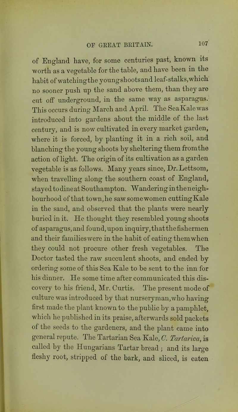 of England have, for some centuries past, known its worth as a vegetable for the table, and have been in the habit of watchingthe youngshootsand leaf-stalks,which no sooner push up the sand above them, than they are cut off underground, in the same way as asparagus. This occurs during March and April. The SeaKalewas introduced into gardens about the middle of the last century, and is now cultivated in every market garden, where it is forced, by planting it in a rich soil, and blanching the young shoots by sheltering them fromthe action of light. The origin of its cultivation as a garden vegetable is as follows. Many }rears since, Dr.Lettsom, when travelling along the southern coast of England, stayed to dine at Southampton. Wandering in the neigh- bourhood of that town,he saw some women cuttingKale in the sand, and observed that the plants were nearly buried in it. He thought they resembled young shoots of asparagus, and found,upon inquiry, that the fishermen and their familieswere in the habit of eating them when they could not procure other fresh vegetables. The Doctor tasted the raw succulent shoots, and ended by ordering some of this Sea Kale to be sent to the inn for his dinner. He some time after communicated this dis- covery to his friend, Mr. Curtis. The present mode of culture was introduced by that nurseryman,who having first made the plant known to the public by a pamphlet, which he published in its praise, afterwards sold packets of the seeds to the gardeners, and the plant came into general repute. The Tartarian Sea Kale, C. Tartarica, is called by the Hungarians Tartar bread ; and its large fleshy root, stripped of the bark, and sliced, is eaten