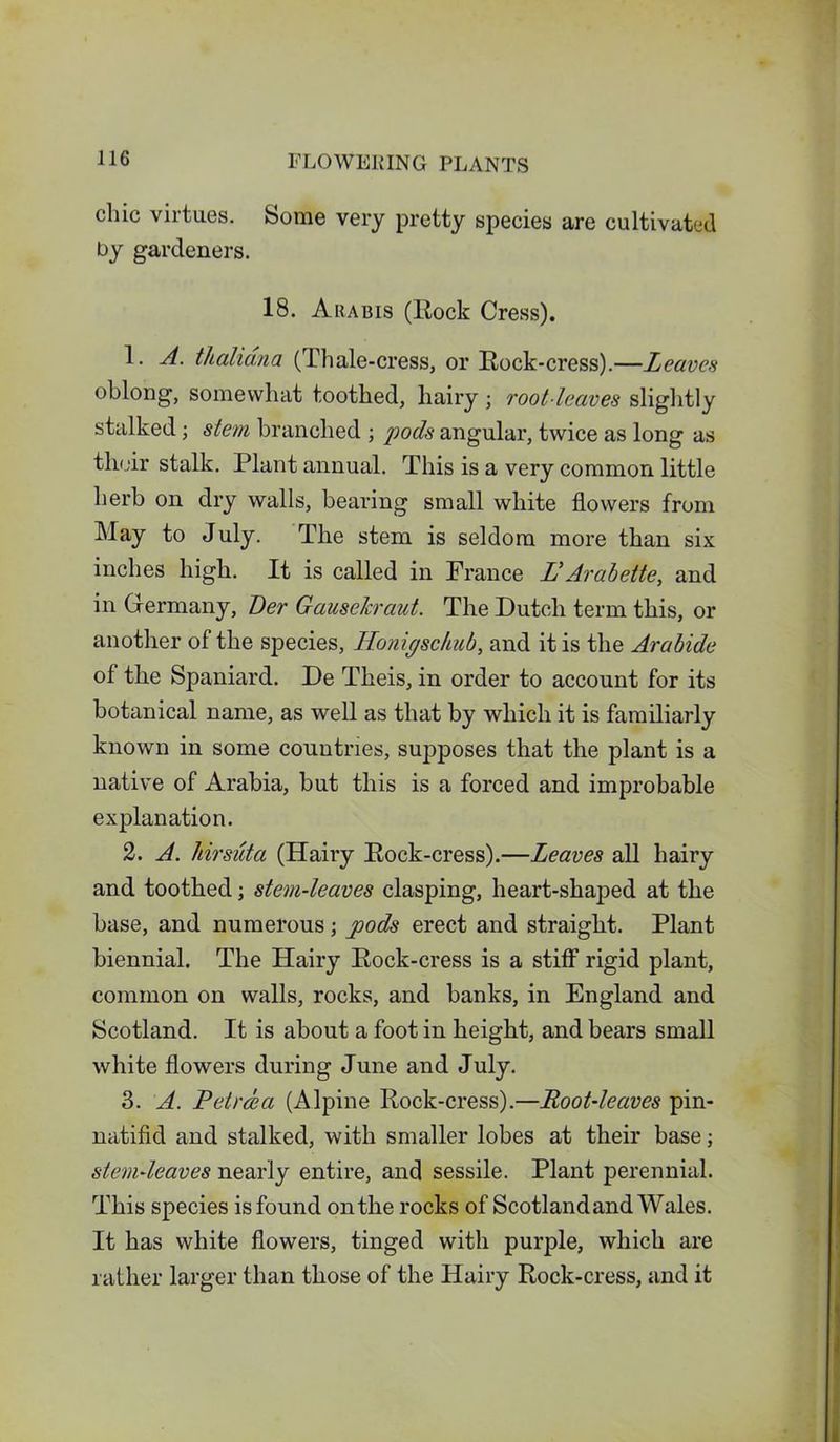 chic virtues. Some very pretty species are cultivated by gardeners. 18. Arabis (Rock Cress). 1. A. thaliana (Thale-cress, or Rock-cress).—Leaves oblong, somewhat toothed, hairy ; root-leaves slightly stalked; stem branched ; pods angular, twice as long as their stalk. Plant annual. This is a very common little herb on dry walls, bearing small white flowers from May to July. The stem is seldom more than six inches high. It is called in France L‘Arabette, and in Germany, Der Gauselcraut. The Dutch term this, or another of the species, Honigschub, and it is the Arabide of the Spaniard. De Theis, in order to account for its botanical name, as well as that by which it is familiarly known in some countries, supposes that the plant is a native of Arabia, but this is a forced and improbable explanation. 2. A. hirsuta (Hairy Rock-cress).—Leaves all hairy and toothed; stem-leaves clasping, heart-shaped at the base, and numerous; pods erect and straight. Plant biennial. The Hairy Rock-cress is a stiff rigid plant, common on walls, rocks, and banks, in England and Scotland. It is about a foot in height, and bears small white flowers during June and July. 3. A. Petr da (Alpine Rock-cress).—Root-leaves pin- natifid and stalked, with smaller lobes at their base; stem-leaves nearly entire, and sessile. Plant perennial. This species is found on the rocks of Scotland and Wales. It has white flowers, tinged with purple, which are rather larger than those of the Hairy Rock-cress, and it