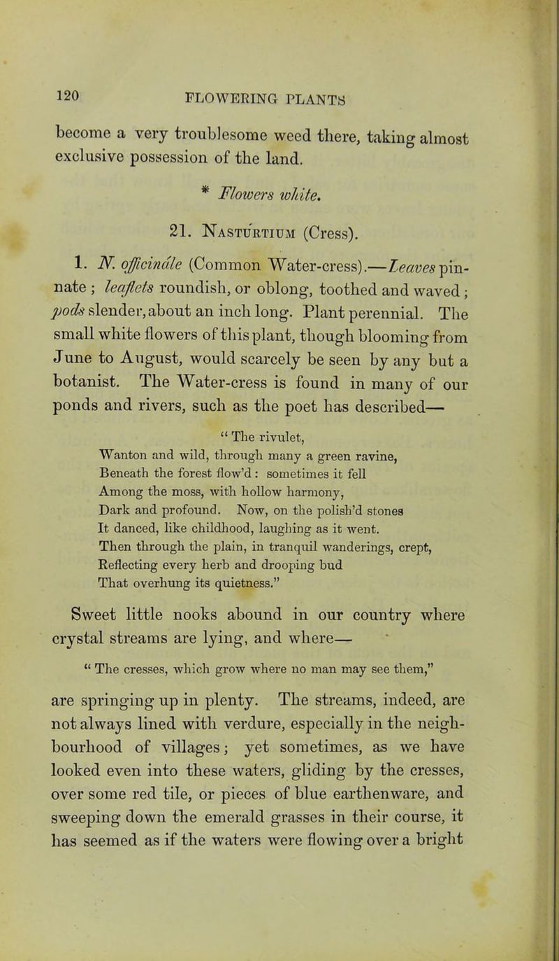 become a very troublesome weed there, taking almost exclusive possession of the land. * Flowers white. 21. Nasturtium (Cress). 1. N. officinale (Common Water-cress).—leaves pin- nate ; leaflets roundish, or oblong, toothed and waved; pods slender, about an inch long. Plant perennial. The small white flowers of this plant, though blooming from June to August, would scarcely be seen by any but a botanist. The Water-cress is found in many of our ponds and rivers, such as the poet has described— “ The rivulet, Wanton and wild, through many a green ravine, Beneath the forest flow’d: sometimes it fell Among the moss, with hollow harmony, Dark and profound. Now, on the polish’d stones It danced, like childhood, laughing as it went. Then through the plain, in tranquil wanderings, crept, Reflecting every hei'b and drooping bud That overhung its quietness.” Sweet little nooks abound in our country where crystal streams are lying, and where— “ The cresses, which grow where no man may see them,” are springing up in plenty. The streams, indeed, are not always lined with verdure, especially in the neigh- bourhood of villages; yet sometimes, as we have looked even into these waters, gliding by the cresses, over some red tile, or pieces of blue earthenware, and sweeping down the emerald grasses in their course, it has seemed as if the waters were flowing over a bright