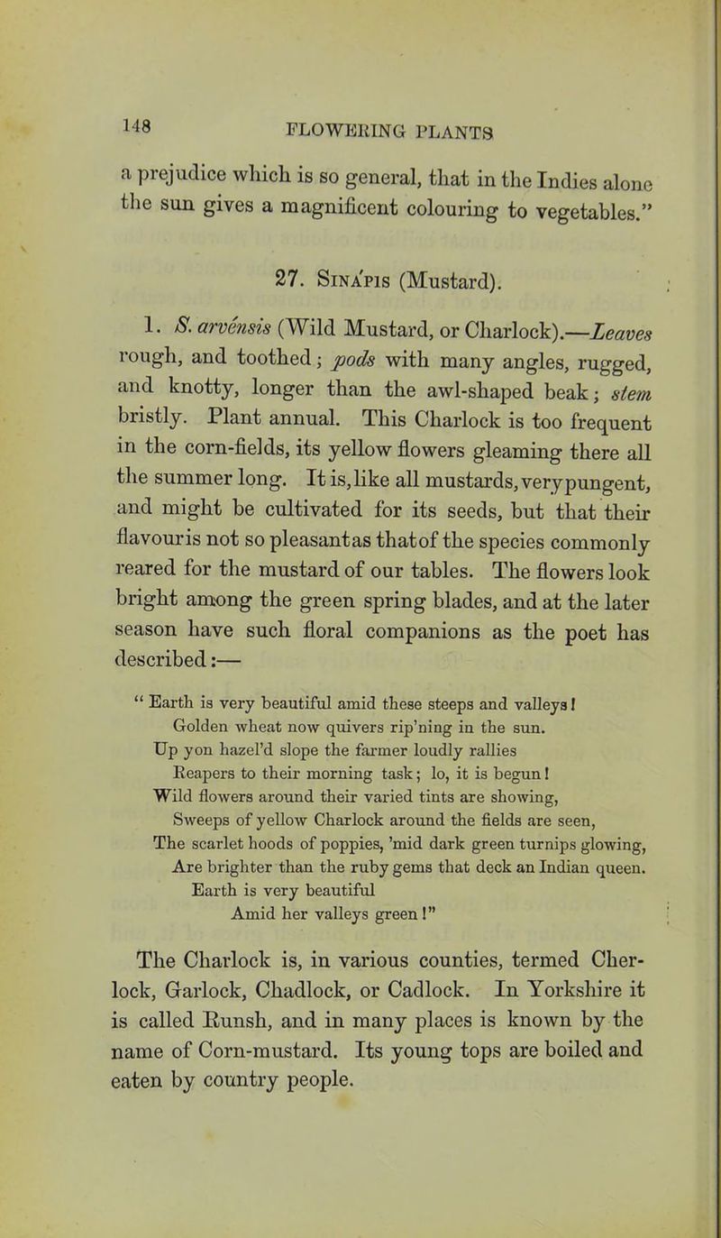 a prejudice which is so general, that in the Indies alone the sun gives a magnificent colouring to vegetables.” 27. Sinapis (Mustard). 1. S. arvensis (Wild Mustard, or Charlock).—Leaves rough, and toothed; pods with many angles, rugged, and knotty, longer than the awl-shaped beak; stem bristly. Plant annual. This Charlock is too frequent in the corn-fields, its yellow flowers gleaming there all the summer long. It is, like all mustards, very pungent, and might be cultivated for its seeds, but that their flavouris not so pleasantas thatof the species commonly reared for the mustard of our tables. The flowers look bright among the green spring blades, and at the later season have such floral companions as the poet has described:— “ Earth is very beautiful amid these steeps and valleys I Golden wheat now quivers rip’ning in the sun. Up yon hazel’d slope the farmer loudly rallies Reapers to their morning task; lo, it is begun! Wild flowers around their varied tints are showing, Sweeps of yellow Charlock around the fields are seen, The scarlet hoods of poppies, ’mid dark green turnips glowing, Are brighter than the ruby gems that deck an Indian queen. Earth is very beautiful Amid her valleys green !” The Charlock is, in various counties, termed Cher- lock, Garlock, Chadlock, or Cadlock. In Yorkshire it is called Runsh, and in many places is known by the name of Corn-mustard. Its young tops are boiled and eaten by country people.