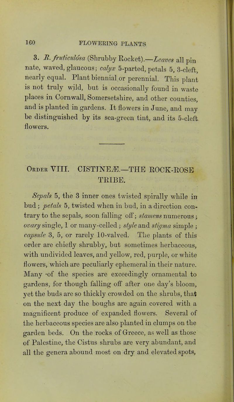 3. B. fruticulosa (Shrubby Rocket).—Leaves all pin nate, waved, glaucous; calyx 5-parted, petals 5, 3-cleft, nearly equal. Plant biennial or perennial. This plant is not truly wild, but is occasionally found in waste places in Cornwall, Somersetshire, and other counties, and is planted in gardens. It flowers in June, and may be distinguished by its sea-green tint, and its 5-cleft flowers. Order VIII. CISTINEiE.—THE ROCK-ROSE TRIBE. Sepals 5, the 3 inner ones twisted spirally while in bud; petals 5, twisted when in bud, in a direction con- trary to the sepals, soon falling off; stamens numerous; ovary single, 1 or many-celled ; style and stigma simple ; capsule 3, 5, or rarely 10-valved. The plants of this order are chiefly shrubby, but sometimes herbaceous, with undivided leaves, and yellow, red, purple, or white flowers, which are peculiarly ephemeral in their nature. Many -of the species are exceedingly ornamental to gardens, for though falling off after one day’s bloom, yet the buds are so thickly crowded on the shrubs, that on the next day the boughs are again covered with a magnificent produce of expanded flowers. Several of the herbaceous species are also planted in clumps on the garden beds. On the rocks of Greece, as well as those of Palestine, the Cistus shrubs are very abundant, and all the genera abound most on dry and elevated spots.
