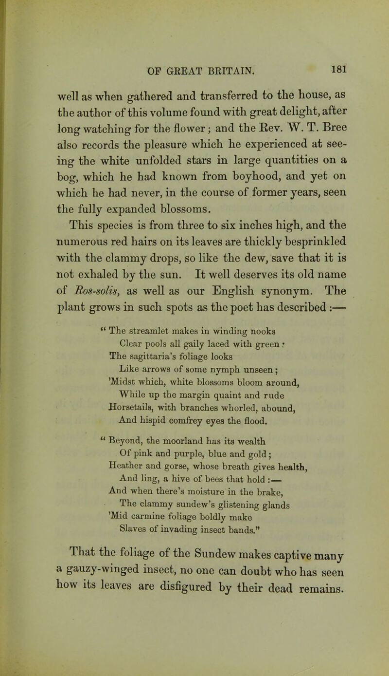 well as when gathered and transferred to the house, as the author of this volume found with great delight, after long watching for the flower; and the Rev. W. T. Bree also records the pleasure which he experienced at see- ing the white unfolded stars in large quantities on a bog, which he had known from boyhood, and yet on which he had never, in the course of former years, seen the fully expanded blossoms. This species is from three to six inches high, and the numerous red hairs on its leaves are thickly besprinkled with the clammy drops, so like the dew, save that it is not exhaled by the sun. It well deserves its old name of Ros-solis, as well as our English synonym. The plant grows in such spots as the poet has described :— “ The streamlet makes in winding nooks Clear pools all gaily laced with green: The sagittaria’s foliage looks Like arrows of some nymph unseen ; ’Midst which, white blossoms bloom around, While up the margin quaint and rude Horsetails, with branches whorled, abound, And hispid comfrey eyes the flood. “ Beyond, the moorland has its wealth Of pink and purple, blue and gold ; Heather and gorse, whose breath gives health, And ling, a hive of bees that hold :— And when there’s moisture in the brake, The clammy sundew’s glistening glands ’Mid carmine foliage boldly make Slaves of invading insect bands.” That the foliage of the Sundew makes captive many a gauzy-winged insect, no one can doubt who lias seen liow its leaves are disfigured by their dead remains.