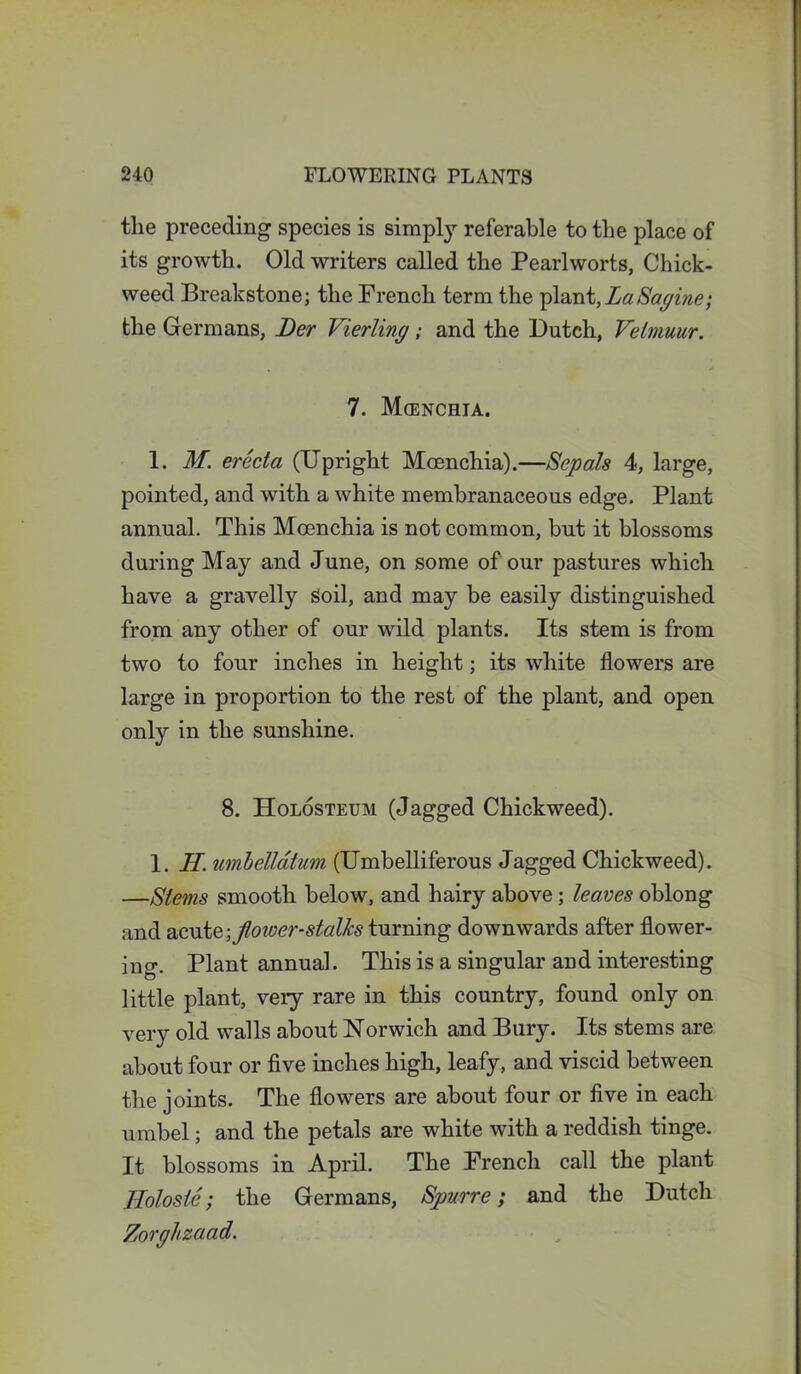 the preceding species is simply referable to the place of its growth. Old writers called the Pearlworts, Chick- weed Breakstone; the French term the plant,LaSagine; the Germans, Ber Vierling; and the Butch, Velmuur. 7. Mcenchia. 1. M. erecta (Upright Moenchia).—Sepals 4, large, pointed, and with a white membranaceous edge. Plant annual. This Mcenchia is not common, but it blossoms during May and June, on some of our pastures which have a gravelly Soil, and may be easily distinguished from any other of our wild plants. Its stem is from two to four inches in height; its white flowers are large in proportion to the rest of the plant, and open only in the sunshine. 8. Holosteum (Jagged Chickweed). 1. H. umbelldtum (Umbelliferous Jagged Chickweed). —Stems smooth below, and hairy above; leaves oblong and acute \jlower-stalhs turning downwards after flower- ing. Plant annual. This is a singular and interesting little plant, very rare in this country, found only on very old walls about Norwich and Bury. Its stems are about four or five inches high, leafy, and viscid between the joints. The flowers are about four or five in each umbel; and the petals are white with a reddish tinge. It blossoms in April. The French call the plant Jiolosie; the Germans, Spurre; and the Butch Zorghzaad.