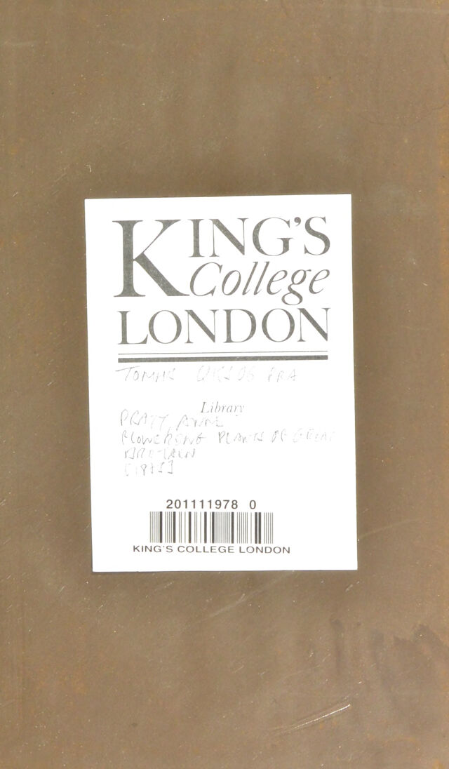 digitised image 3