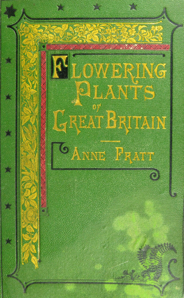 digitised image 1