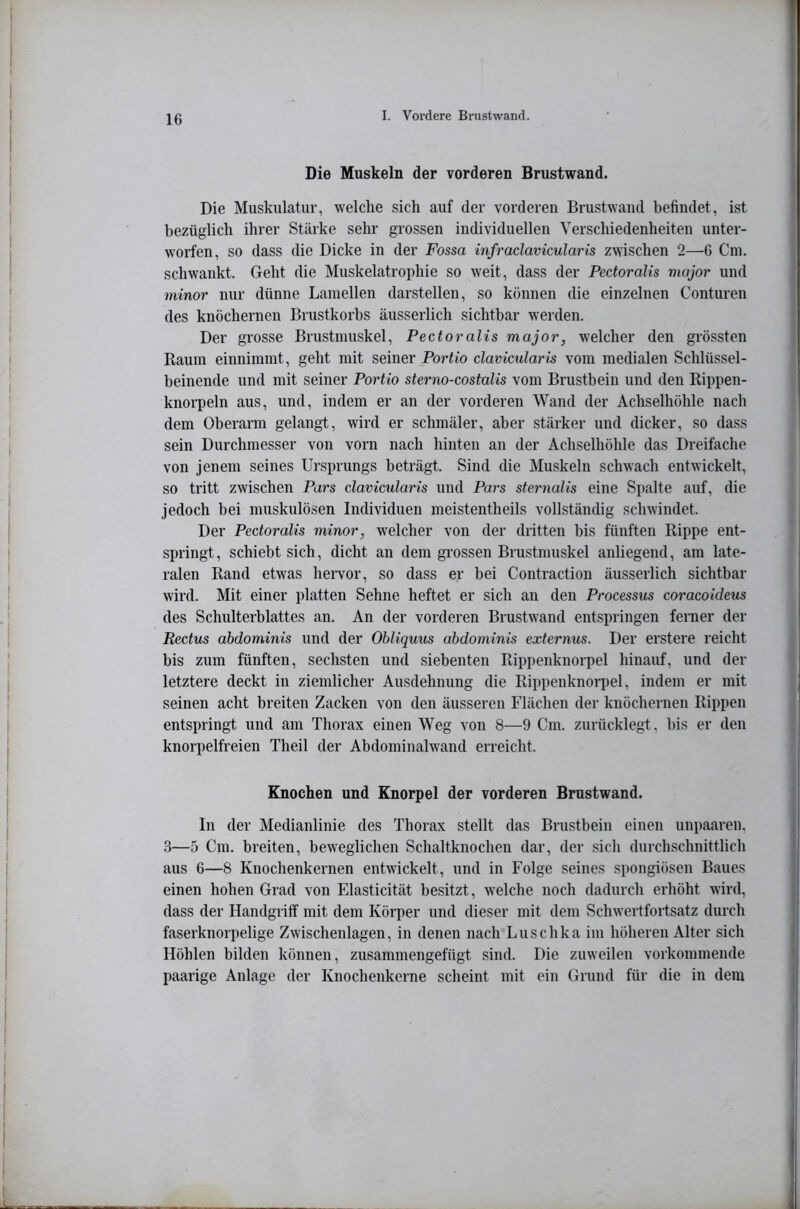 Die Muskeln der vorderen Brustwand. Die Muskulatur, welche sich auf der vorderen Brustwand befindet, ist bezüglich ihrer Stärke sehr grossen individuellen Verschiedenheiten unter- worfen, so dass die Dicke in der Fossa infraclavicularis zwischen 2—6 Cm. schwankt. Geht die Muskelatrophie so weit, dass der Pectoralis major und 7ninor nur dünne Lamellen darstellen, so können die einzelnen Conturen des knöchernen Brustkorbs äusserlich sichtbar werden. Der grosse Brustmuskel, Pectoralis major, welcher den grössten Raum einnimmt, geht mit seiner Portio clavicularis vom medialen Schlüssel- beinende und mit seiner Portio sterno-costalis vom Brustbein und den Rippen- knorpeln aus, und, indem er an der vorderen Wand der Achselhöhle nach dem Oberarm gelangt, wird er schmäler, aber stärker und dicker, so dass sein Durchmesser von vorn nach hinten an der Achselhöhle das Dreifache von jenem seines Ursprungs beträgt. Sind die Muskeln schwach entwickelt, so tritt zwischen Pars clavicularis und Pars sternalis eine Spalte auf, die jedoch bei muskulösen Individuen meistentheils vollständig schwindet. Der Pectoralis minor, welcher von der dritten bis fünften Rippe ent- springt, schiebt sich, dicht an dem grossen Brustmuskel anliegend, am late- ralen Rand etwas heiwor, so dass er bei Contraction äusserlich sichtbar wird. Mit einer platten Sehne heftet er sich an den Processus coracoideus des Schulterblattes an. An der vorderen Brustwand entspringen ferner der Rectus abdominis und der Obliquus abdominis externus. Der erstere reicht bis zum fünften, sechsten und siebenten Rippenknorpel hinauf, und der letztere deckt in ziemlicher Ausdehnung die Rippenknorpel, indem er mit seinen acht breiten Zacken von den äusseren Flächen der knöchernen Rippen entspringt und am Thorax einen Weg von 8—9 Cm. zurücklegt, bis er den knorpelfreien Theil der Abdominalwand erreicht. Knochen und Knorpel der vorderen Brustwand. In der Medianlinie des Thorax stellt das Brustbein einen unpaaren, 3—5 Cm. breiten, beweglichen Schaltknochen dar, der sich durchschnittlich aus 6—8 Knochenkernen entwickelt, und in Folge seines spongiösen Baues einen hohen Grad von Elasticität besitzt, welche noch dadurch erhöht wird, dass der Handgriff mit dem Körper und dieser mit dem Schwertfortsatz durch faserknorpelige Zwischenlagen, in denen nach Luschka im höheren Alter sich Höhlen bilden können, zusammengefügt sind. Die zuweilen vorkoinmende paarige Anlage der Knochenkerne scheint mit ein Grund für die in dem