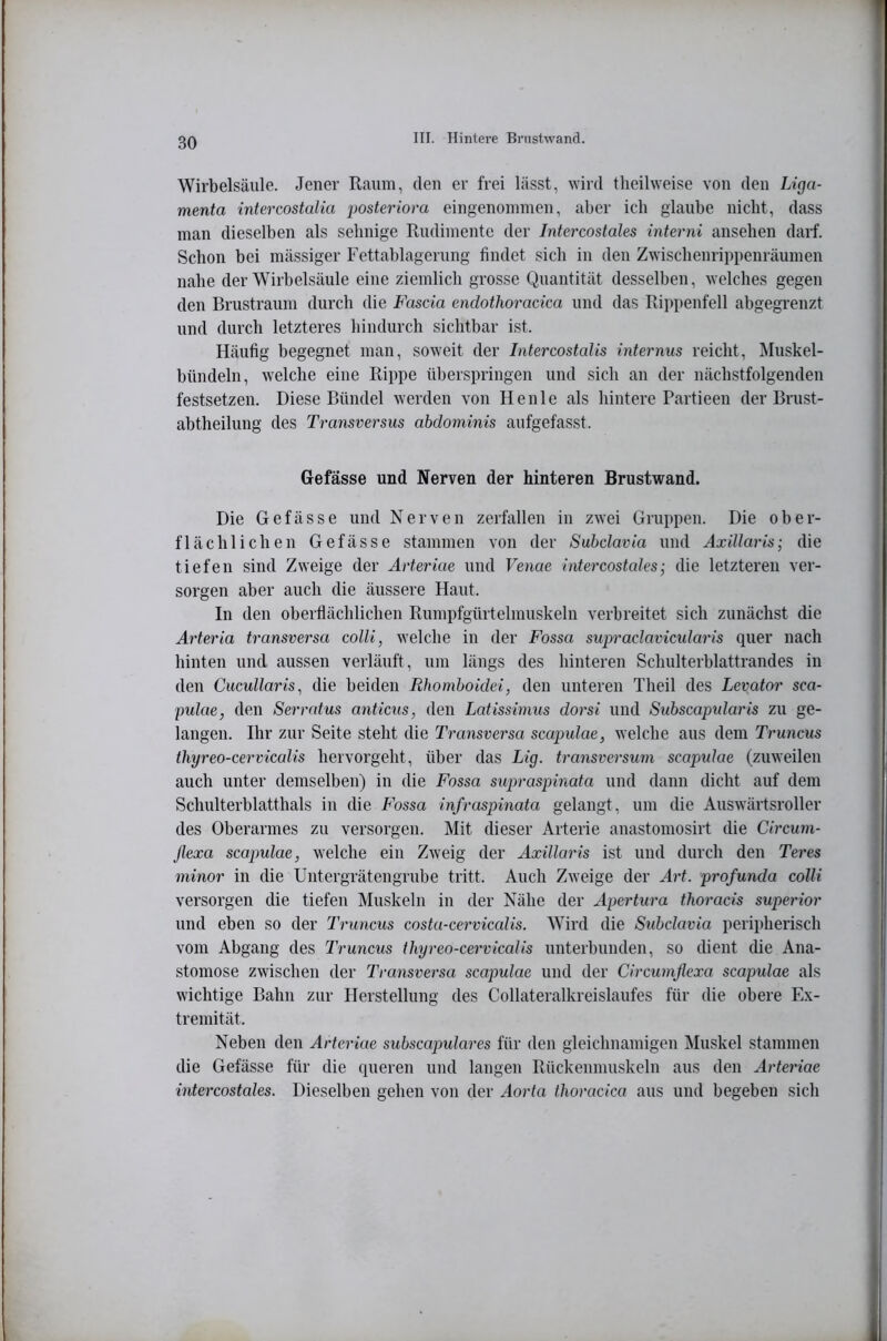 Wirbelsäule. Jener Raum, den er frei lässt, wird theilweise von den Liga- menta intercostulia posteriora eingenommen, aber ich glaube nicht, dass man dieselben als seimige Rudimente der Intercostales interni ansehen darf. Schon bei mässiger Fettablagerung findet sich in den Zwischenrippenräumen nabe der Wirbelsäule eine ziemlich grosse Quantität desselben, welches gegen den Brustraum durch die Fascia endothoracica und das Rippenfell abgegrenzt und durch letzteres hindurch sichtbar ist. Häufig begegnet man, soweit der Intercostalis internus reicht, Muskel- bündeln, welche eine Rippe überspringen und sich an der nächstfolgenden festsetzen. Diese Bündel werden von He nie als hintere Partieen der Brust- ahtheilung des Transversus abdominis aufgefasst. Gefässe und Nerven der hinteren Brustwand. Die Gefässe und Nerven zerfallen in zwei Gruppen. Die ober- flächlichen Gefässe stammen von der Subclavia und Axillaris; die tiefen sind Zweige der Arteriue und Venae intercostales; die letzteren ver- sorgen aber auch die äussere Haut. In den oberflächlichen Rumpfgürtelmuskeln verbreitet sich zunächst die Arteria transversa colli, welche in der Fossa supraclavicularis quer nach hinten und aussen verläuft, um längs des hinteren Schulterhlattrandes in den Cucullaris, die beiden Rhomboidei, den unteren Theil des Levator sca- pulae, den Serratus anticits, den Latissimus dorsi und Subscapularis zu ge- langen. Ihr zur Seite steht die Transversa scapulae, welche aus dem Truncus thyreo-cervicalis hervorgeht, über das Lig. transversum scapulae (zuweilen auch unter demselben) in die Fossa supraspinata und dann dicht auf dem Schulterblatthals in die Fossa infraspinata gelangt, um die Auswärtsroller des Oberarmes zu versorgen. Mit dieser Arterie anastomosirt die Circuin- flexa scapulae, welche ein Zweig der Axillaris ist und durch den Teres minor in die Untergrätengrube tritt. Auch Zweige der Art. profunda colli versorgen die tiefen Muskeln in der Nähe der Apertura thoracis superior und eben so der Truncus costa-cervicalis. Wird die S^lbclavia peripherisch vom Abgang des Truncus thyreo-cervicalis unterbunden, so dient die Ana- stomose zwischen der Transversa scapulae und der Circumßexa scapulae als wichtige Bahn zur Herstellung des Collateralkreislaufes für die obere Ex- tremität. Neben den Arteriae subscapulares für den gleichnamigen Muskel stammen die Gefässe für die queren und langen Rückenmuskeln aus den Arteriae intercostales. Dieselben gehen von der Aorta thoracica aus und begeben sich
