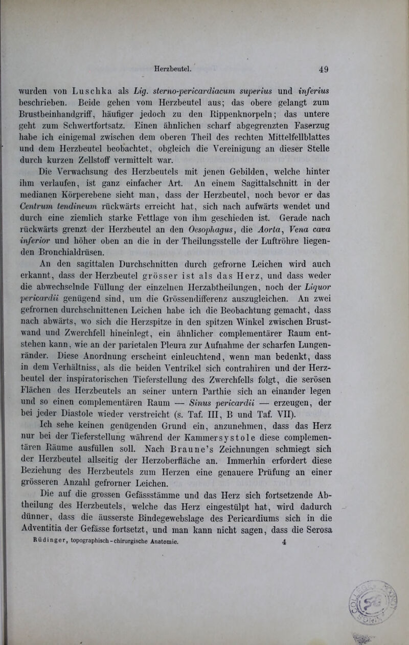 wurden von Luschka als Lig. sterno-pericardiacum superius und inferius beschrieben. Beide gehen vom Herzbeutel aus; das obere gelangt zum BrustbeinhandgritF, häufiger jedoch zu den Rippenknorpeln; das untere geht zum Schwertfortsatz. Einen ähnlichen scharf abgegrenzten Faserzug habe ich einigemal zwischen dem oberen Theil des rechten Mittelfellblattes und dem Herzbeutel beobachtet, obgleich die Vereinigung an dieser Stelle durch kurzen Zellstoff vermittelt war. Die Verwachsung des Herzbeutels mit jenen Gebilden, welche hinter ihm verlaufen, ist ganz einfacher Art. An einem Sagittalschnitt in der medianen Körperebene sieht man, dass der Herzbeutel, noch bevor er das Centrum tendineum rückwärts erreicht hat, sich nach aufwärts wendet und durch eine ziemlich starke Fettlage von ihm geschieden ist. Gerade nach rückwärts grenzt der Herzbeutel an den Oesophagus, die Aorta, Vena cava inferior und höher oben an die in der Theilungsstelle der Luftröhre liegen- den Bronchialdrüsen. An den sagittalen Durchschnitten durch gefrorne Leichen wird auch erkannt, dass der Herzbeutel grösser ist als das Herz, und dass weder die abwechselnde Füllung der einzelnen Herzabtheilungen, noch der Liquor pericardii genügend sind, um die Grössendifferenz auszugleichen. An zwei gefrornen durchschnittenen Leichen habe ich die Beobachtung gemacht, dass nach abwärts, wo sich die Herzspitze in den spitzen Winkel zwischen Brust- wand und Zwerchfell hineinlegt, ein ähnlicher complementärer Raum ent- stehen kann, wie an der parietalen Pleura zur Aufnahme der scharfen Lungen- ränder. Diese Anordnung erscheint einleuchtend, wenn man bedenkt, dass in dem Verhältniss, als die beiden Ventrikel sich contrahiren und der Herz- beutel der inspiratorischen Tieferstellung des Zwerchfells folgt, die serösen Flächen des Herzbeutels an seiner untern Parthie sich an einander legen und so einen complementären Raum — Sinus pericardii — erzeugen, der bei jeder Diastole wieder verstreicht (s. Taf. HI, B und Taf. VII). Ich sehe keinen genügenden Grund ein, anzunehmen, dass das Herz nur bei der Tieferstellung während der Kammersystole diese complemen- tären Räume ausfüllen soll. Nach Brau ne’s Zeichnungen schmiegt sich der Herzbeutel allseitig der Herzoberfläche an. Immerhin erfordert diese Beziehung des Herzbeutels zum Herzen eine genauere Prüfung an einer grösseren Anzahl gefrorner Leichen. Die auf die grossen Gefässstämme und das Herz sich fortsetzende Ab- theilung des Herzbeutels, welche das Herz eingestülpt hat, wird dadurch dünner, dass die äusserste Bindegewebslage des Pericardiums sich in die Adventitia der Gefässe fortsetzt, und man kann nicht sagen, dass die Serosa Rüdinger, topographisch-chirurgische Anatomie. 4