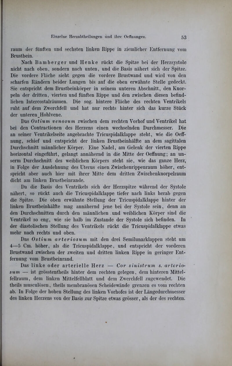 raum der fünften und sechsten linken Rippe in ziemlicher Entfernung vom Brustbein. Nach Bamberger und Henke rückt die Spitze bei der Herzsystolc nicht nach oben, sondern nach unten, und die Basis nähert sich der Spitze. Die vordere Fläche sieht gegen die vordere Brustwand und wird von den scharfen Rändern beider Lungen bis auf die oben erwähnte Stelle gedeckt. Sie entspricht dem Brustbeinkörper in seinem unteren Abschnitt, den Knor- peln der dritten, vierten und fünften Rippe und den zwischen diesen befind- lichen Intercostalräumen. Die sog. hintere Fläche des rechten Ventrikels ruht auf dem Zwerchfell und hat nur rechts hinter sich das kurze Stück der unteren Hohlvene. Das Ostium venosum zwischen dem rechten Vorhof und Ventrikel hat bei den Contractionen des Herzens einen wechselnden Durchmesser. Die an seiner Ventrikelseite angebrachte Tricuspidalklappe steht, wie die Oeff- nung, schief und entspricht der linken Brustbeinhälfte an dem sagittalen Durchschnitt männlicher Körper. Eine Nadel, am Gelenk der vierten Rippe horizontal eingeführt, gelangt annähernd in die Mitte derOeffnung; an un- serni Durchschnitt des weiblichen Körpers steht sie, wie das ganze Herz, in Folge der Ausdehnung des Uterus einen Zwischenrippenraum höher, ent- spricht aber auch hier mit ihrer Mitte dem dritten Zwischenknorpelraum dicht am linken Brustbeinrande. Da die Basis des Ventrikels sich der Herzspitze während der Systole nähert, so rückt auch die Tricuspidalklappe tiefer nach links herab gegen die Spitze. Die oben erwähnte Stellung der Tricuspidalklappe hinter der linken Brustbeinhälfte mag annähernd jene bei der Systole sein, denn an den Durchschnitten durch den männlichen und weiblichen Körper sind die Ventrikel so eng, wie sie halb im Zustande der Systole sich befinden. In der diastolischen Stellung des Ventrikels rückt die Tricuspidalklappe etwas mehr nach rechts und oben. Das Ostium arteriosum mit den drei Semilunarklappen steht um 4—5 Cm. höher, als die Tricuspidalklappe, und entspricht der vorderen Brustwand zwischen der zweiten und dritten linken Rippe in geringer Ent- fernung vom Brustbeinrand. Das linke oder arterielle Herz — Cor s inistr um s. arterio- sum — ist gi’össtentheils hinter dem rechten gelegen, dem hinteren Mittel- fellraum, dem linken Mittelfellblatt und dem Zwerchfell zugewendet. Die theils musculösen, theils membranösen Scheidewände grenzen es vom rechten ab. In Folge der hohen Stellung des linken Vorhofes ist der Längedurchmesser des linken Herzens von der Basis zur Spitze etwas grösser, als der des rechten.