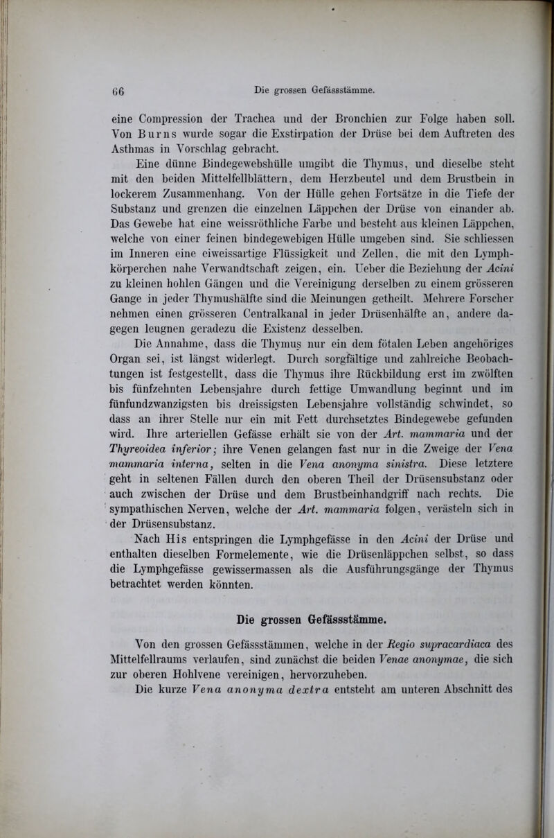 eine Compression der Trachea und der Bronchien zur Folge haben soll. Von Bur ns wurde sogar die Exstirpation der Drüse bei dem Auftreten des Asthmas in Vorschlag gebracht. Eine dünne Bindegewebshülle umgibt die Thymus, und dieselbe steht mit den beiden Mittelfellblättern, dem Herzbeutel und dem Brustbein in lockerem Zusammenhang. Von der Hülle gehen Fortsätze in die Tiefe der Substanz und gi’enzen die einzelnen Läppchen der Drüse von einander ab. Das Gewebe hat eine weissrothliche Farbe und besteht aus kleinen Läppchen, welche von einer feinen bindegew^ebigen Hülle umgeben sind. Sie schliessen im Inneren eine eiweissartige Flüssigkeit und Zellen, die mit den Lymph- körperchen nahe Verwandtschaft zeigen, ein. Ueber die Beziehung der Acini zu kleinen hohlen Gängen und die Vereinigung derselben zu einem grösseren Gange in jeder Thymushälfte sind die Meinungen getheilt. Mehrere Forscher nehmen einen gi’össeren Centralkaual in jeder Drüsenhälfte an, andere da- gegen leugnen geradezu die Existenz desselben. Die Annahme, dass die Thymus nur ein dem fötalen Leben angehöriges Organ sei, ist längst widerlegt. Durch sorgfältige und zahlreiche Beobach- tungen ist festgestellt, dass die Thymus ihre Rückbildung erst im zwölften bis fünfzehnten Lebensjahre durch fettige Umwandlung beginnt und im fünfundzwanzigsten bis dreissigsten Lebensjahre vollständig schwindet, so dass an ihrer Stelle nur ein mit Fett durchsetztes Bindegewebe gefunden wird. Ihre arteriellen Gefässe erhält sie von der Art. mammaria und der Thyreoidea inferior; ihre Venen gelangen fast nur in die Zweige der re?ia mammaria interna, selten in die Vena anonyma sinistra. Diese letztere geht in seltenen Fällen durch den oberen Theil der Drüsensubstanz oder auch zwischen der Drüse und dem Brustbeinhandgriff nach rechts. Die sympathischen Nerven, welche der Art. mammaria folgen, verästeln sich in der Drüsensubstanz. Nach His entspringen die Lymphgefässe in den Acini der Drüse und enthalten dieselben Formelemente, wie die Drüsenläppchen selbst, so dass die Lymphgefässe gewissermassen als die Ausführungsgänge der Thymus betrachtet werden könnten. Die grossen Gefässstämme. Von den grossen Gefässstämmen, welche in der i2ep<o supracardiaca des Mittelfellraums verlaufen, sind zunächst die beiden I enae anonymae, die sich zur oberen Hohlvene vereinigen, hervorzuheben. Die kurze Vena anonyma dextra entsteht am unteren Abschnitt des