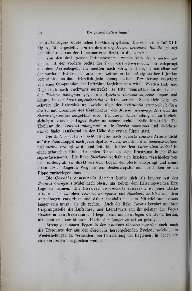 des Aortenbogens wurde schon Erwähnung gethan. Dieselbe ist in Taf. XIII, Fig. A, 15 dargestellt. Durch diesen sog. Ductus arteriosus Botallii gelangt der Blutstrom aus der Lungenarterie direkt in die Aorta. Von den drei gi’ossen Gefässstämmen, welche vom ylrcws aortae ab- gehen, ist der vordere rechte der Truncus anonymus. Er entspringt aus dem Aortenbogen, am meisten nach vorn, und liegt unmittelbar auf der vorderen Fläche der Luftröhre, welche er bei mässig starker Injection comprimirt, so dass sicherlich jede aneurysmatische Erweiterung desselben von einer Compression der Luftröhre begleitet sein wird. Werden Hals und Kopf stark nach rückwärts gestreckt, so tritt, wenigstens an der Leiche, der Truncus anonymus gegen die Äpertura thoracis superior empor und könnte in der Fossa suprasternalis verletzt werden. Seine tiefe Lage er- schwert die Unterbindung, welche über der Articulatio sterno-clavicularis dextra mit Trennung des Kopfnickers, des Muscul. sterno-hyoideus und des Sterno-thyreoideus ausgeführt wird. Bei dieser Unterbindung ist zu berück- sichtigen, dass der Vagus dexter an seiner rechten Seite hinstreift. Die Theilung des Truncus anonymus in die Carotis communis und Subclavia dextra findet annähernd in der Höhe der ersten Rippe statt. Die Art. subclavia geht als eine nach abwärts concave Arterie dicht auf der Pleurakuppel nach jener Spalte, welche zwischen dem Scalenus anticus und medius erzeugt wird, und tritt hier hinter dem Tuberculum scaleni in einer schwachen Rinne der ersten Rippe aus dem Brustraum in die Fossa supraclavicularis. Die linke Subclavia verhält sich insofern verschieden von der rechten, als sie direkt aus dem Bogen der Aorta entspringt und somit einen etwas längeren Weg bis zur Scalenusspalte auf der linken ersten Rippe zurücklegen muss. Die Carotis communis dextra begibt sich als innerer Ast des Truncus anonymus schief nach oben, um neben den Halseingeweiden ihre Lage zu nehmen. Die Carotis communis sinistra ist jener starke Ast, welcher zwischen Truncus anonymus und Subclavia sinistra aus dem Aortenbogen entspringt und daher ebenfalls in dem Mittelfellraum etwas länger sein muss, als die rechte. Auch die linke Carotis berührt an ihrer Ursprungsstelle die Luftröhre, und lateralwärts von ihr gelangt der Vagus sinister in den Brustraum und begibt sich um den Bogen der Aorta herum, um dann erst zur hinteren Fläche der Lungenwurzel zu gelangen. Streng genommen liegen in der Ape7'tura thoracis superior auch noch die Ursprünge der aus der Subclavia hervorgehenden Zweige, welche, um Wiederholungen zu vermeiden, bei Betrachtung der Regionen, in denen sie sich verbreiten, besprochen werden.