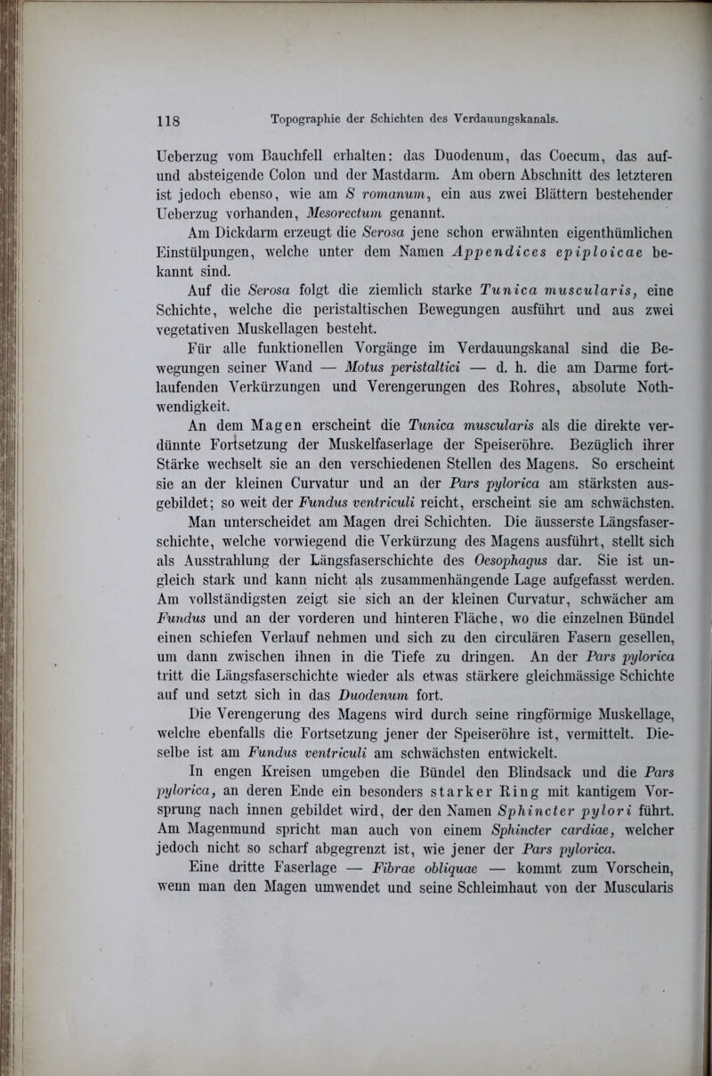 Ueberzug vom Bauchfell erhalten: das Duodenum, das Coecum, das auf- und absteigende Colon und der Mastdarm. Am obern Abschnitt des letzteren ist jedoch ebenso, wie am S romanum^ ein aus zwei Blättern bestehender Ueberzug vorhanden, Mesorectum genannt. Am Dickdarm erzeugt die Serosa jene schon erwähnten eigenthümlichen Einstülpungen, w'elche unter dem Namen Appendices epiploicae be- kannt sind. Auf die Serosa folgt die ziemlich starke Tunica muscularis, eine Schichte, welche die peristaltischen Bewegungen ausführt und aus zwei vegetativen Muskellagen besteht. Für alle funktionellen Vorgänge im Verdauungskanal sind die Be- wegungen seiner Wand — Motus peristaltici — d. h. die am Danne fort- laufenden Verkürzungen und Verengerungen des Rohres, absolute Noth- wendigkeit. An dem Magen erscheint die Tunica muscularis als die direkte ver- dünnte Fortsetzung der Muskelfaserlage der Speiseröhre. Bezüglich ihrer Stärke wechselt sie an den verschiedenen Stellen des Magens. So erscheint sie an der kleinen Curvatur und an der Pars pylorica am stärksten aus- gebildet; so weit der Fundus ventriculi reicht, erscheint sie am schwächsten. Man unterscheidet am Magen drei Schichten. Die äusserste Längsfaser- schichte, welche vorwiegend die Verkürzung des Magens ausführt, stellt sich als Ausstrahlung der Längsfaserschichte des Oesophagus dar. Sie ist un- gleich stark und kann nicht als zusammenhängende Lage aufgefasst werden. Am vollständigsten zeigt sie sich an der kleinen Cuiwatur, schwächer am Fundus und an der vorderen und hinteren Fläche, wo die einzelnen Bündel einen schiefen Verlauf nehmen und sich zu den circulären Fasern gesellen, um dann zwischen ihnen in die Tiefe zu dringen. An der Pars pylorica tritt die Längsfaserschichte wieder als etwas stärkere gleichmässige Schichte auf und setzt sich in das Duodenum fort. Die Verengerung des Magens wird durch seine ringförmige Muskellage, welche ebenfalls die Fortsetzung jener der Speiseröhre ist, vermittelt. Die- selbe ist am Fundus ventriculi am schwächsten entwickelt. In engen Kreisen umgeben die Bündel den Blindsack und die Pars pylorica, an deren Ende ein besonders starker Ring mit kantigem Vor- sprung nach innen gebildet wird, der den Namen Sphincter pylori führt. Am Magenmund spricht man auch von einem Sphincter cardiae, welcher jedoch nicht so scharf abgegrenzt ist, wie jener der Pars pylorica. Eine dritte Faserlage — Fibrae obliquae — kommt zum Vorschein, w'enn man den Magen umwendet und seine Schleimhaut von der Muscularis
