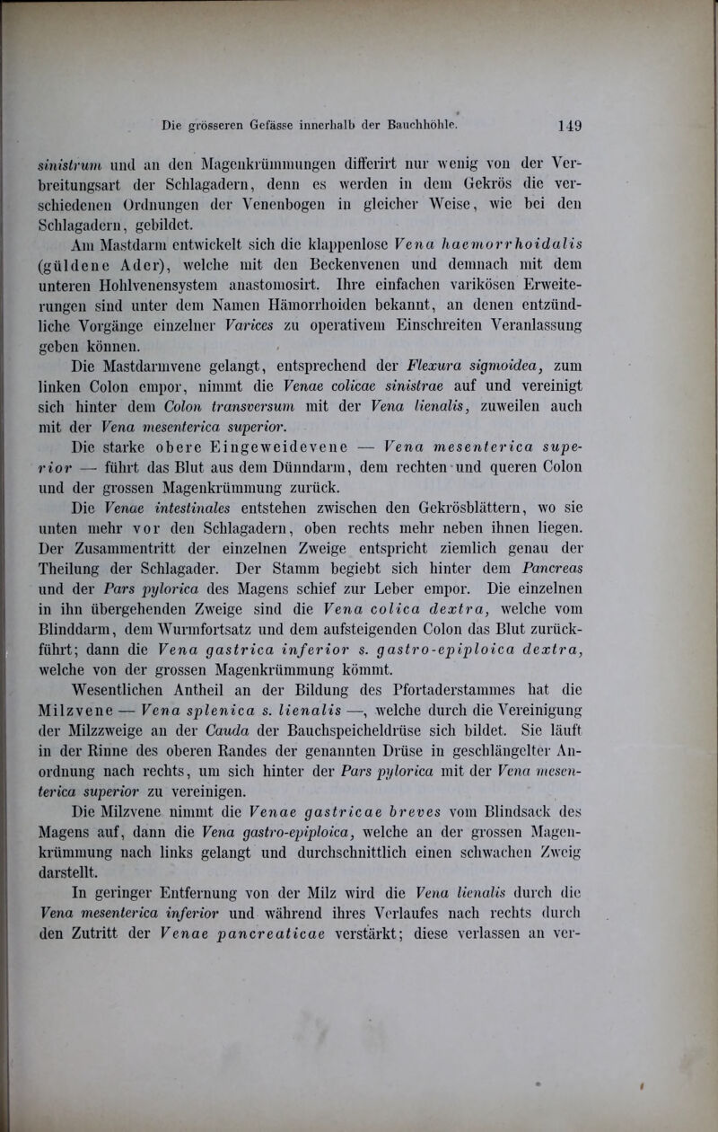 sinistrum und an den jMagcnkrüinnmngen differirt nur wenig von der Ver- breitungsart der Schlagadern, denn es werden in dem üekrös die ver- schiedenen Ordnungen der Venenbogen in gleicher Weise, wie bei den Schlagadern, gebildet. Am Mastdarm entwickelt sich die klappenlose Vena haeniorrhoidalis (güldene Ader), welche mit den Beckenvenen und demnach mit dem unteren Hohlvenensystem anastomosirt. Ihre einfachen varikösen Erweite- rungen sind unter dem Namen Htämorrhoiden bekannt, an denen entzünd- liche Vorgänge einzelner Varices zu operativem Einschreiten Veranlassung geben können. Die Mastdarmvene gelangt, entsprechend der Flexura sigmoidea, zum linken Colon empor, nimmt die Venae coUcae sinistrae auf und vereinigt sich hinter dem Colon transversum mit der Vena lienalis, zuw'eilen auch mit der Vena mesenterica superior. Die starke obere Eingeweidevene — Vena mesenterica supe- rior — führt das Blut aus dem Dünndarm, dem rechten-und queren Colon und der grossen Magenkrümmung zurück. Die Venae intestinales entstehen zwischen den Gekrösblättern, wo sie unten mehr vor den Schlagadern, oben rechts mehr neben ihnen liegen. Der Zusammentritt der einzelnen Zweige entspricht ziemlich genau der Theilung der Schlagader. Der Stamm begiebt sich hinter dem Pancreas und der Pars pylorica des Magens schief zur Leber empor. Die einzelnen in ihn übergehenden Zweige sind die Vena colica dextra, welche vom Blinddarm, dem Wurmfortsatz und dem aufsteigenden Colon das Blut zurück- führt; dann die Vena gastrica inferior s. gastro-epiploica dextra, welche von der grossen Magenkrümmung kömmt. Wesentlichen Antheil an der Bildung des Pfortaderstammes hat die Milzvene — Vena splenica s. lienalis welche durch die Vereinigung der Milzzweige an der Cauda der Bauchspeicheldrüse sich bildet. Sie läuft in der Rinne des oberen Randes der genannten Drüse in geschlängelter An- ordnung nach rechts, um sich hinter der Pars pijlorica mit der Vena mesen- terica superior zu vereinigen. Die Milzvene nimmt die Venae gastricae breves vom Blindsack des Magens auf, dann die Vena gastro-epiploica, welche an der grossen Magen- krümmung nach links gelangt und durchschnittlich einen schwachen Zweig darstellt. In geringer Entfernung von der Milz wird die Fena lienalis durch die Vena mesenterica inferior und während ihres Verlaufes nach rechts durch den Zutritt der Venae pancreaticae verstärkt; diese verlassen an ver-