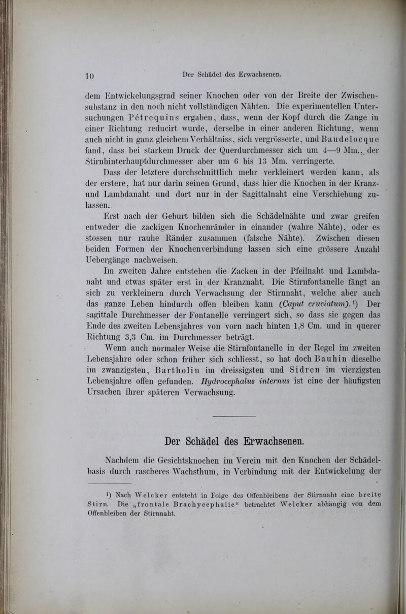 lü dem iMitwickelimgsgrad seiner Knochen oder von der Breite der Zwischen- substanz in den noch nicht vollständigen Nähten. Die experimentellen Unter- suchungen I’etrequins ergaben, dass, wenn der Kopf durch die Zange in einer Kichtung reducirt wurde, derselbe in einer anderen Kichtuug, wenn auch nicht in ganz gleichem Verhältniss, sich vergrösserte, und Bändeloeque fand, dass bei starkem Druck der Querdurchmesser sich um 4—9 Mm., der Stirnhinterhauptdurchmesser aber um 6 bis 13 ^Im. verringerte. Dass der letztere durchschnittlich mehr verkleinert werden kann, als der erstere, hat nur darin seinen Grund, dass hier die Knochen in der Ki-anz- und Lambdanaht und dort nur in der Sagittalnaht eine Verschiebung zu- lassen. Erst nach der Geburt bilden sich die Schädelnähte und zwar greifen entweder die zackigen Knochenränder in einander (wahre Nähte), oder es stossen nur rauhe Bänder zusammen (falsche Nähte). Zwischen diesen beiden Formen der Knochenverbindung lassen sich eine grössere Anzahl Uebergänge nachweisen. Im zweiten Jahre entstehen die Zacken in der Pfeilnaht und Lanibda- naht und etwas später erst in der Kranznaht. Die Stirnfontanelle fängt an sich zu verkleinern durch Verwachsung der Stirnnaht, welche aber auch das ganze Leben hindurch offen bleiben kann (Caput cruciatum).^) Der sagittale Durchmesser der Fontanelle verringert sich, so dass sie gegen das Ende des zweiten Lebensjahres von vorn nach hinten 1,8 Cm. und in querer Richtung 3,3 Cm. im Durchmesser beträgt. Wenn auch normaler Weise die Stirnfoutaiielle in der Regel im zweiten Lebensjahre oder schon früher sich schliesst, so hat dochBauhin dieselbe im zwanzigsten, Bartholin im dreissigsten und Sidren im vierzigsten Lebensjahre offen gefunden. Hydrocephalus internus ist eine der häufigsten Ursachen ihrer späteren Verwachsung. Der Schädel des Erwachsenen. Nachdem die Gesichtsknochen im Verein mit den Knochen der Schädel- basis durch rascheres Wachsthum, in Verbindung mit der Entwickelung der ') Nach Welcher entsteht in Folge des Offenhleibens der Stirnnaht eine breite Stirn. Die „frontale Brachycephalie“ betrachtet Welcher abhängig von dem Offenbleiben der Stirnnaht.
