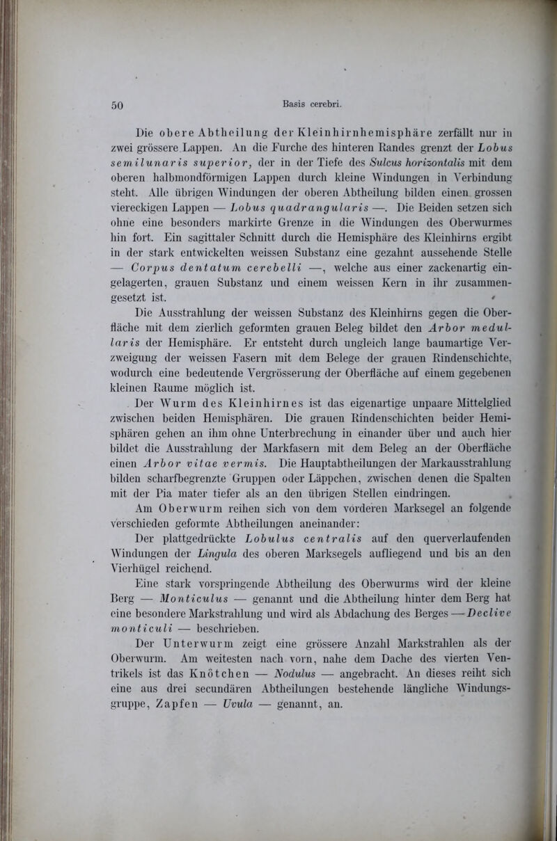 Die obere Abtheilung der Kleinhirnliemisphäre zerfällt nur in zwei grössere Lappen. An die Furche des hinteren Landes gi’enzt der Lobus semilunaris superior, der in der Tiefe des Sulcus horizontalis mit dem oberen halbmondförmigen Lappen durch kleine Windungen in Verbindung steht. Alle übrigen Windungen der oberen Abtheilung bilden einen grossen viereckigen Lappen — Lobus quadrangularis —. Die Beiden setzen sich ohne eine besonders markirte Grenze in die Windungen des Oberwurmes hin fort. Ein sagittaler Schnitt durch die Hemisphäre des Kleinhirns ergibt in der stark entwickelten weissen Substanz eine gezahnt aussehende Stelle — Corpus dentatum cerebelli —, welche aus einer zackenartig ein- gelagerten, grauen Substanz und einem weissen Kern in ihr zusammen- gesetzt ist. ' Die Ausstrahlung der weissen Substanz des Kleinhirns gegen die Ober- fläche mit dem zierlich geformten grauen Beleg bildet den Arbor medul- lär is der Hemisphäre. Er entsteht durch ungleich lange baumartige Ver- zweigung der weissen Fasern mit dem Belege der grauen Rindenschichte, wodurch eine bedeutende Vergrösserung der Oberfläche auf einem gegebenen kleinen Raume möglich ist. Der Wurm des Kleinhirnes ist das eigenartige unpaare Mittelglied zwischen beiden Hemisphären. Die grauen Rindenschichten beider Hemi- sphären gehen an ihm ohne Unterbrechung in einander über und auch hier bildet die Ausstrahlung der Markfasern mit dem Beleg an der Oberfläche einen Arbor vitae vermis. Die Hauptabtheilungen der Markausstrahlung bilden scharfbegrenzte Gruppen oder Läppchen, zischen denen die Spalten mit der Pia mater tiefer als an den übrigen Stellen eindringen. Am Oberwurm reihen sich von dem vorderen Marksegel an folgende verschieden geformte Abtheilungen aneinander: Der plattgedrückte Lobulus centralis auf den querverlaufenden Windungen der Lingula des oberen Marksegels aufliegeud und bis an den Vierhügel reichend. Eine stark vorspringeude Abtheilung des Oberwurms wird der kleine Berg — Monticulus — genannt und die Abtheilung hinter dem Berg hat eine besondere Markstrahlung und wird als Abdachung des Berges —Declive monticuli — beschrieben. Der Unter wurm zeigt eine grössere Anzahl Markstrahlen als der Oberwurm. Am weitesten nach vorn, nahe dem Dache des vierten Ven- trikels ist das Knötchen — Nodulus — angebracht. An dieses reiht sich eine aus drei secundären Abtheilungen bestehende längliche Windungs- gruppe, Zapfen — Uvula — genannt, an.