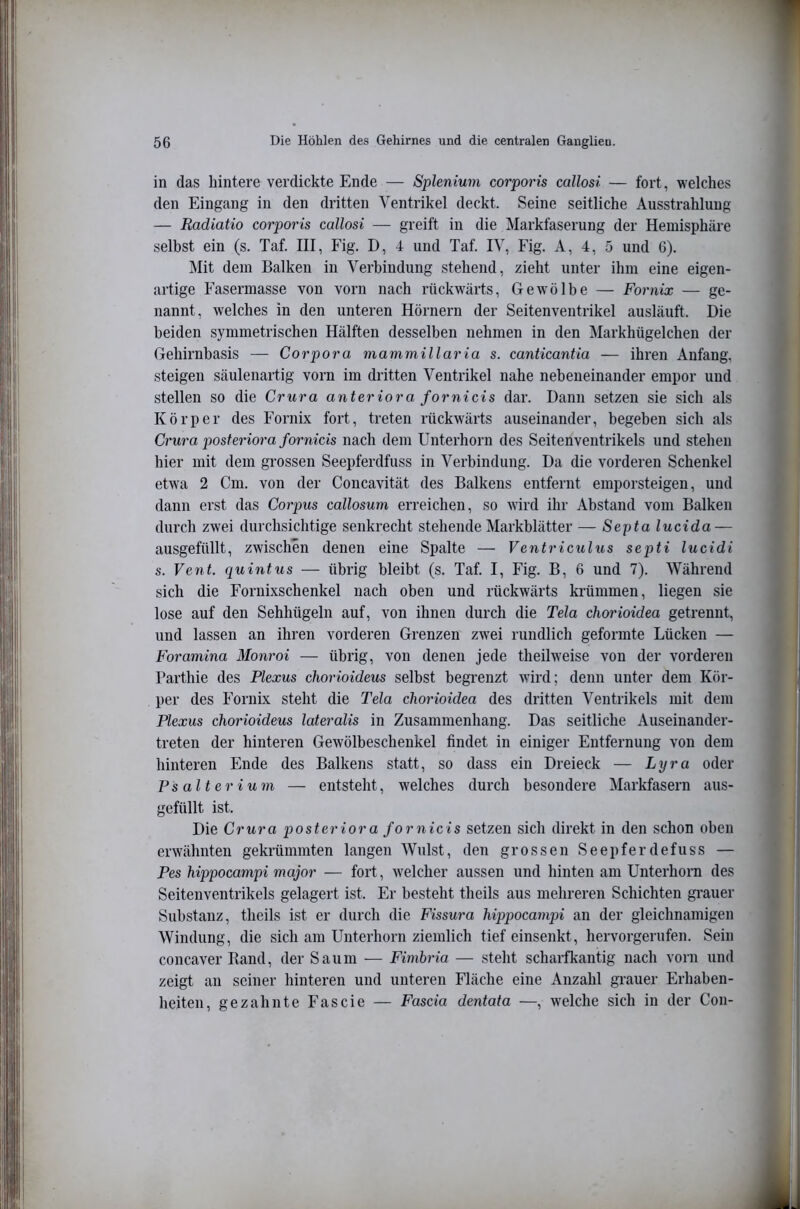 in das hintere verdickte Ende — Splenium corporis callosi — fort, welches den Eingang in den dritten Ventrikel deckt. Seine seitliche Ausstrahlung — Radiatio corporis callosi — greift in die Markfaserung der Hemisphäre selbst ein (s. Taf. III, Fig. D, 4 und Taf. IV, Fig. A, 4, 5 und 6). Mit dem Balken in Verbindung stehend, zieht unter ihm eine eigen- artige Fasermasse von vorn nach rückwärts, Gewölbe — Fornix — ge- nannt, welches in den unteren Hörnern der Seitenventrikel ausläuft. Die beiden symmetrischen Hälften desselben nehmen in den Markhügelchen der Gehirnbasis — Corpora mammillaria s. canticantia — ihren Anfang, steigen säulenartig vorn im dritten Ventrikel nahe nebeneinander empor und stellen so die Crura anteriora fornicis dar. Dann setzen sie sich als Körper des Fornix fort, treten rückwärts auseinander, begeben sich als Crura posteriora fornicis nach dem Unterhorn des Seitenventrikels und stehen hier mit dem grossen Seepferdfuss in Verbindung. Da die vorderen Schenkel etwa 2 Cm. von der Concavität des Balkens entfernt emporsteigen, und dann erst das Corpus callosum erreichen, so wird ihr Abstand vom Balken durch zwei durchsichtige senkrecht stehende Markblätter — Sepia lud da — ausgefüllt, zwischen denen eine Spalte — Ventriculus septi lud di s. Vent. quintus — übrig bleibt (s. Taf. I, Fig. B, 6 und 7). Während sich die Fornixschenkel nach oben und rückwärts krümmen, liegen sie lose auf den Sehhügeln auf, von ihnen durch die Tela chorioidea getrennt, und lassen an ihren vorderen Grenzen zwei rundlich geformte Lücken — Foramina Monroi — übrig, von denen jede theilweise von der vorderen Parthie des Plexus chorioideus selbst begrenzt wird; denn unter dem Kör- per des Fornix steht die Tela chorioidea des dritten Ventrikels mit dem Plexus chorioideus lateralis in Zusammenhang. Das seitliche Auseinander- treten der hinteren Gewölbeschenkel findet in einiger Entfernung von dem hinteren Ende des Balkens statt, so dass ein Dreieck — Lyra oder Psalterium — entsteht, welches durch besondere Markfasern aus- gefüllt ist. Die Crura posteriora fornicis setzen sich direkt in den schon oben erwähnten gekrümmten langen Wulst, den grossen Seepferdefuss — Pes hippocampi major — fort, welcher aussen und hinten am Unterhorn des Seitenventrikels gelagert ist. Er besteht theils aus mehreren Schichten gi’auer Substanz, theils ist er durch die Fissura hippocampi an der gleichnamigen Windung, die sich am Unterhorn ziemlich tief einsenkt, hervorgerufen. Sein concaver Band, der Saum — Fimbria — steht scharfkantig nach vorn und zeigt an seiner hinteren und unteren Fläche eine Anzahl gi’auer Erhaben- heiten, gezahnte Fascie — Fascia dentata —, welche sich in der Con-