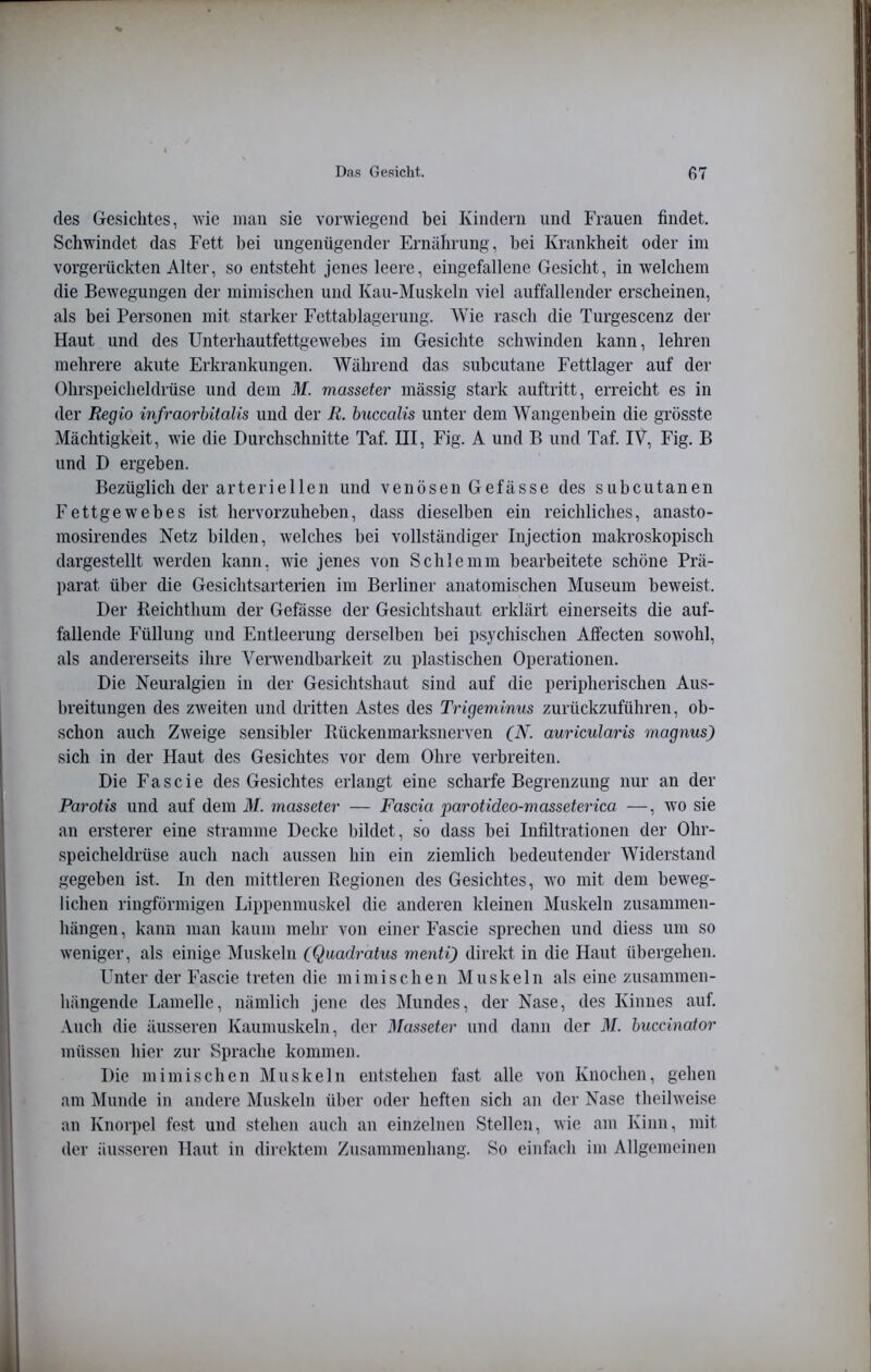 des Gesichtes, wie mau sie vorwiegend bei Kindern und Frauen findet. Schwindet das Fett bei ungenügender Ernährung, bei Krankheit oder im vorgerückten Alter, so entsteht jenes leere, eingefallene Gesicht, in welchem die Bewegungen der mimischen und Kau-Muskeln viel auffallender erscheinen, als bei Personen mit starker Fettablagerung. Wie rasch die Turgescenz der Haut und des Unterhautfettgew^ebes im Gesichte schwinden kann, lehren mehrere akute Erkrankungen. Während das subcutane Fettlager auf der Ohrspeicheldrüse und dem ilf. masseter inässig stark auftritt, erreicht es in der Regio infraorhitalis und der R. buccalis unter dem Wangenbein die grösste Mächtigkeit, wie die Durchschnitte Taf. HI, Fig. A und B und Taf. IV, Fig. B und D ergeben. Bezüglich der arteriellen und venösen Gefässe des subcutanen Fettgewebes ist hervorzuheben, dass dieselben ein reichliches, anasto- mosirendes Netz bilden, welches bei vollständiger Injection makroskopisch dargestellt werden kann, wie jenes von Schlemm bearbeitete schöne Prä- parat über die Gesichtsarterien im Berliner anatomischen Museum beweist. Der Beichthum der Gefässe der Gesichtsliaut erklärt einerseits die auf- fallende Füllung und Entleerung derselben bei psychischen Alfecten sowohl, als andererseits ihre Verwendbarkeit zu plastischen Operationen. Die Neuralgien in der Gesichtshaut sind auf die peripherischen Aus- breitungen des zweiten und dritten Astes des Trigeminus zurückzuführen, ob- schon auch Zweige sensibler Rückenmarksnerven (N. auricularis magnus) sich in der Haut des Gesichtes vor dem Ohre verbreiten. Die F a s c i e des Gesichtes erlangt eine scharfe Begrenzung nur an der Parotis und auf dem M. masseter — Fascia parotideo-masseterica —, wo sie an ersterer eine stramme Decke bildet, so dass bei Infiltrationen der Ohr- speicheldrüse auch nach aussen hin ein ziemlich bedeutender Widerstand gegeben ist. In den mittleren Regionen des Gesichtes, wo mit dem beweg- lichen ringförmigen Lippenmuskel die anderen kleinen Muskeln Zusammen- hängen , kann man kaum mehr von einer Fascie sprechen und diess um so weniger, als einige Muskeln (Quadratus menti) direkt in die Haut übergehen. Unter der Fascie treten die mimischen Muskeln als eine zusammen- hängende Lamelle, nämlich jene des Mundes, der Nase, des Kinnes auf. Auch die äusseren Kaumuskeln, der Masseter und dann der M. buccinator müssen hier zur Sprache kommen. Die mimischen Muskeln entstehen fast alle von Knochen, gehen am Munde in andere Muskeln über oder heften sich an der Nase theilweise an Knorpel fest und stehen auch an einzelnen Stellen, wie am Kinn, mit der äusseren Haut in direktem Zusiimmenhang. So einfach im Allgemeinen