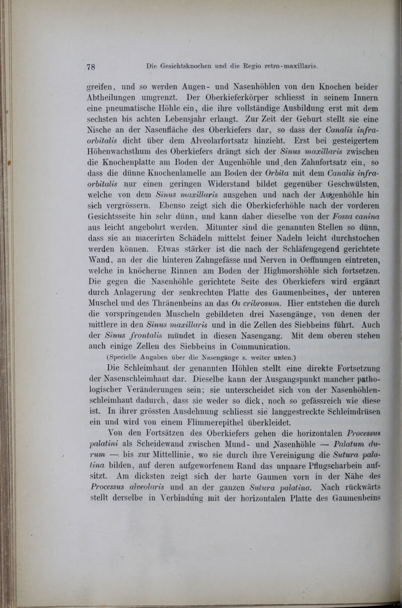 greifen, und so werden Augen- und Nasenhöhlen von den Ivnochen beider Abtheilungen iiiugreuzt. Der Oberkieferkörper schliesst in seinem Innern eine pneumatische Höhle ein, die ihre vollständige Ausbildung erst mit dem sechsten bis achten Lebensjahr erlangt. Zur Zeit der Geburt stellt sie eine Nische an der Nasenfläche des Oberkiefers dar, so dass der Canalis infra- orbitalis dicht über dem Alveolarfortsatz hinzieht. Erst bei gesteigertem Höhenwachsthum des Oberkiefers drängt sich der Sinus maxillaris zwischen die Knochenplatte am Boden der Augenhöhle und.den Zahufortsatz ein, so dass die dünne Knochenlamelle am Boden der Orbita mit dem Canalis infra- orbitalis nur einen geringen Widerstand bildet gegenüber Geschwülsten, welche von dem Sinus maxillaris ausgehen und nach der Augenhöhle hin sich vergrössern. Ebenso zeigt sich die Oberkieferhöhle nach der vorderen Gesichtsseite hin sehr dünn, und kann daher dieselbe von der Fossa canina aus leicht angebohrt werden. Mitunter sind die genannten Stellen so dünn, dass sie an macerirten Schädeln mittelst feiner Nadeln leicht durchstochen werden können. Etwas stärker ist die nach der Schläfengegend gerichtete Wand, an der die hinteren Zahngefässe und Nerven in Oeffnungen eintreten, welche in knöcherne Rinnen am Boden der Highmorshöhle sich fortsetzen. Die gegen die Nasenhöhle gerichtete Seite des Oberkiefers wird ergänzt durch Anlagerung der senkrechten Platte des Gaumenbeines, der unteren Muschel und des Thräiienbeins an das Os cribrosum. Hier entstehen die durch die vorspringenden Muscheln gebildeten drei Nasengänge, von denen der mittlere in den Sinus maxillaris und in die Zellen des Siebbeins führt. Auch der Sinus frontalis mündet in diesen Nasengang. Mit dem oberen stehen auch einige Zellen des Siebbeins in Communication. (Specielle Angaben über die Xasengänge s. weiter unten.) Die Schleimhaut der genannten Höhlen stellt eine direkte Fortsetzung der Nasenschleimhaut dar. Dieselbe kann der Ausgangspunkt mancher jtatho- logischer Veränderungen sein; sie unterscheidet sich von der Nasenhöhlen- schleimhaut dadurch, dass sie weder so dick, noch so gefässreich wie diese ist. In ihrer grössten Ausdehnung schliesst sie langgestreckte Schleimdrüsen ein und wird von einem Elimmerepithel überkleidet. Von den Fortsätzen des Oberkiefers gehen die horizontalen Processus palatini als Scheidewand zwischen Mund- und Nasenhöhle — Palatum du- rum — bis zur Mittellinie, wo sie durch ihre Vereinigung die Sw tum pala- tina bilden, auf deren aufgeworfenem Rand das unpaare Pflugscharbein auf- sitzt. Am dicksten zeigt sich der harte Gaumen vorn in der Nähe des Processus alveolaris und an der ganzen Sulura j^alatina. Nach rückwäils stellt derselbe in Verbindung mit der horizontalen Platte des Gaumenbeins
