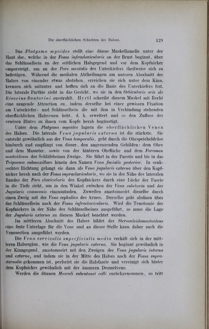 Das Platysma myöidas stellt eine (lüi)iie Muskellauielle unter der Haut dar, welche in der Fossa infradavicularis an der Brust beginnt, über das Schlüsselbein an der seitlichen Halsgegend und vor dem Kopfnicker emporsteigt, um an der Pars mentalis des Unterkiefers theilweise sich zu befestigen. Wälirend die medialen Abtheilungen am unteren Abschnitt des Halses von einander etwas abstehen, erreichen sie sich unter dem Kinn, kreuzen sich mitunter und heften sich an die Basis des Unterkiefers fest. Die laterale Parthie zieht in das Gesicht, wo sie in den Orbicularis oris als /{isorius Santorini aussü’ahlt. Hyrtl schreibt diesem Muskel mit Recht eine saugende Attraction zu, indem derselbe bei einer gewissen Fixation am Unterkiefer- und Schlüsselbein die mit ihm in Verbindung stehenden oberflächlichen Halsvenen hebt, d. h. erweitert und s<j den Zufluss des venösen Blutes zu ihnen vom Kopfe herab begünstigt. Unter dem Platysma myoides lagern die oberflächlichen Venen des Halses. Die laterale Vena jugularis externa ist die stärkste. Sie entsteht gewöhnlich aus der Vena temforalis, geht durch die Ohrspeicheldrüse hindurch und empfängt von dieser, den angrenzenden Gebilden: dem Ohre und dem Masseter, sowie von der hinteren Ohrfläche und dem Foramen inastoideum des Schläfebeines Zweige. Sie führt in der Parotis und bis in das Trigomim submaxillare hinein den Namen Vena facialis posterior. In senk- rechter Richtung gelangt sie dann als Vena jugularis externa über den Kopf- nicken herab nach der Fossa supraclavicularis, wo sie in der Nähe des lateralen Randes der Pars clavicularis des Kopfnickers durch eine Lücke der Fascie in die Tiefe zieht, um in den Winkel zwischen der Vena subclavia und der Jugularis communis einzumünden. Zuweilen anastomosirt dieselbe durch einen Zweig mit der Venu cephalica des Armes. Derselbe geht alsdann über das Schlüsselbein nach der Fossa infraclavicularis. Wird die Tenotomie des Kopfnickers in der Nähe des Schlüsselbeines ausgeführt, so muss die Lage der Jugularis externa zu diesem Muskel beachtet werden. Im mittleren Abschnitt des Halses bildet der Sternocleidomustoideus eine feste Unterlage für die Vene und an dieser Stelle kann daher auch die Venesection ausgeführt werden. Die Vena cervicaiis superficialis media verhält .sich in der mitt- leren Halsregion, wie die Vena jugularis externa. Sie beginnt gewöhnlich in der Kinngegend, anastomosirt mit den Zweigen der Vena jugularis interna und externa, und indem sie in der Mitte des Halses nach der Fossa supra- sternulis gekommen ist, perforirt sie die Halsfascie und vereinigt sich hinter dem Kopfnicker gewöhnlich mit der äusseren Drosselvene. Werden die dünnen Muscidi subcutanei colli zuiückgenommen, so tritt