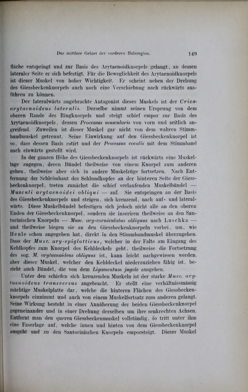 fläche entspringt und zur Basis des Arytaenoidknorpels gelangt, an dessen lateraler Seite er sich befestigt. Für die Beweglichkeit des Arytaenoidknorpels ist dieser Muskel von lioher Wichtigkeit. Kr scheint neben der Drehung des Giessbeckenknorpels auch noch eine A'erschiebung nach rückwärts aus- führen zu können. Der lateralwärts angebrachte Antagonist dieses Muskels ist der Cr tco- arytaenoideus lateralis. Derselbe nimmt seinen Ursprung von dem oberen Rande des Ringknorpels und steigt schief empor zur Basis des .Arytaenoidknorpels, dessen Processus musculuris voti vorn und seitlich aii- greifend. Zuweilen ist dieser ]\Iuskel gar nicht von dem wahren Stimm- handmuskel getrennt. Seine Einwirkung auf den Giessbcckenkiiorpel ist so, dass dessen Basis rotirt und der Processus vocalis mit dem Stimmband nach einwärts gestellt wird. In der ganzen Höhe des Giessbeckenkiiorpels ist rückwärts eine Muskel- lage zugegen, deren Bündel theilweise von einem Knorpel zum anderen gehen, theilweise aber sieh in andere Muskelzüg«.' fortsetzen. Nach Ent- fernung der Schleimhaut des Schlundkopfes an der hinteren Seite der Giess- beckenknorpel, treten zunächst die schief verlaufenden Muskelbündel — Musculi arytaenoide i obliqui — auf. Sie entspringen an der Basis des Giessbeckenknorpels und steigen, sich kreuzend, nach auf- und lateral- wäHs. Diese Muskelbüiidel befestigen sich jedoch nicht alle an den oberen Enden der Giessbeckenknorpel. sondern sie inseriren theilweise an den San- torinischen Knorpeln — Muse, ary-cornicidatus obliquus nach Luschka — * und theilweise biegen sie an den Giessbeckenknorpeln vorbei, um, wie Heule schon angegeben hat, direkt in den Stimmbandmuskel überzugehen. Dass der Muse, ury-epiglotticus, welcher in der Falte am Eingang des Kehlkopfes zum Knorpel des Kehldeckels geht, theilweise die Fortsetzung des sog. M. arytaenokleus obliquus ist, kann leicht nachgewiesen werden, aber dieser ^luskel. welcher den Kehldeckel niederzuziehen fähig ist, be- zieht auch Bündel, die von dem Ligamentum jugale ausgehen. Unter den schiefen sich kreuzenden Muskeln ist der starke Muse, ary- luenoideus transversus angebracht. Er stellt eine veihältuissmässig mächtige Muskelplatte dar, welche die hinteren Flächen des Giessbecken- knorpels einnimmt und auch von einem Muskelfortsatz zum anderen gelangt. Seine Wirkung besteht in einer Annäherung der beiden Giessbeckenknorpel gegeneinander und in einer Drehung derselben um ihre senkrechten Achsen. Entfernt man den (Queren Giessbeckenmuskel vollständig, so tritt unter ihm eine Faserlage auf, welche innen und hinten von dem Giessbeckenknorpel ausgeht und zu den Santorinischen Knorpeln cmi)oi’steigt. Dieser Muskel