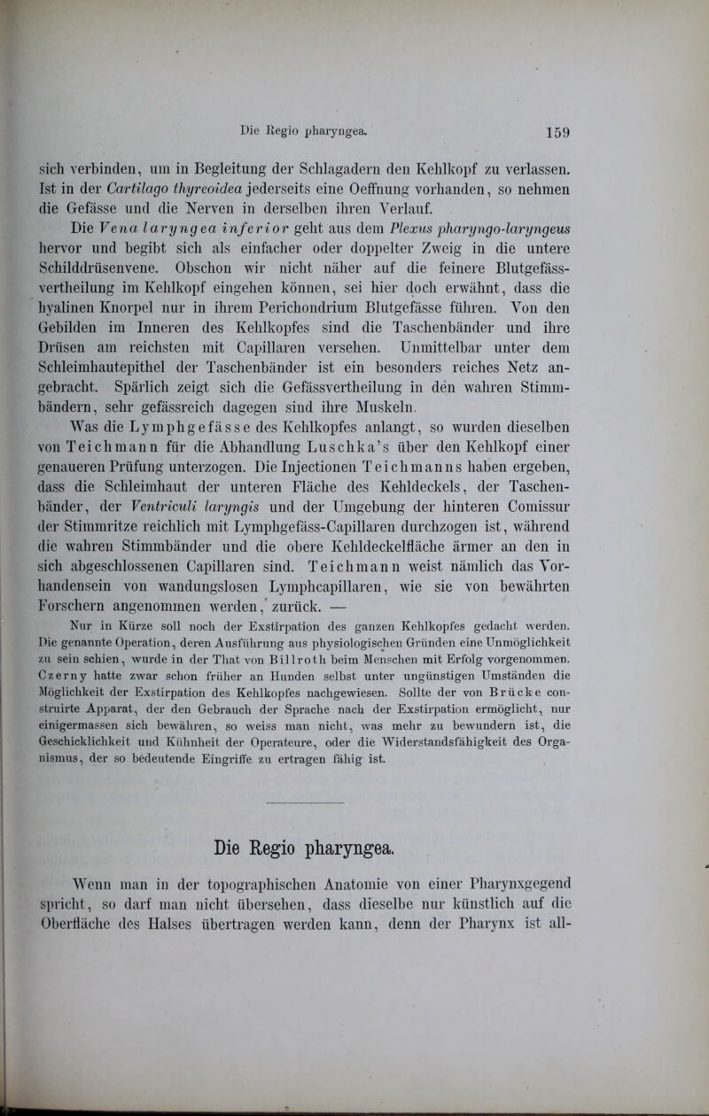 sich verbinden, um in Begleitung der Schlagadern den Kehlkopf zu verlassen. Ist in der Cartilago thyreoidea jederseits eine Oelfnung vorhanden, so nehmen die Gefässe und die Nerven in derselben ihren Verlauf. Die Vena laryngea inferior geht aus dem Plexus ’pharyngo-laryngeus hervor und begibt sich als einfacher oder doppelter Zweig in die untere Schilddrüsenvene. Obschou wir nicht näher auf die feinere Blutgefäss- vertheilung im Kehlkopf eingehen können, sei hier doch erwähnt, dass die hyalinen Knorpel nur in ihrem Perichondrium Blutgefässe führen. Von den Gebilden im Inneren des Kehlkopfes sind die Taschenbänder und ihre Drüsen am reichsten mit Capillaren versehen. Unmittelbar unter dem Schleimhautepithel der Taschenbänder ist ein besonders reiches Netz an- gebracht. Spärlich zeigt sich die Gefässvertheilung in den wahren Stimm- bändern, sehr gefässreich dagegen sind ihre Muskeln. Was die Lymphgefässe des Kehlkopfes anlangt, so wurden dieselben von Teich mann für die Abhandlung Luschka’s über den Kehlkopf einer genaueren Prüfung unterzogen. Die Injectionen Teich mann s haben ergeben, dass die Schleimhaut der unteren Fläche des Kehldeckels, der Taschen- bänder, der Ventriculi laryngis und der Umgebung der hinteren Comissur der Stimmritze reichlich mit Lyraphgefäss-Capillaren durchzogen ist, während die wahren Stimmbänder und die obere Kehldeckelfläche ärmer an den in sich abgeschlossenen Capillaren sind. Teichmann weist nämlich das Vor- handensein von wandungslosen Lymphcapillaren, wie sie von bewährten Forschern angenommen werden,' zurück. — Nur in Kürze soll noch der Exstirpation des ganzen Kehlkopfes gedacht werden. Die genannte Operation, deren Ausführung ans physiologischen Gründen eine Unmöglichkeit zu sein schien, wurde in der That von Billroth beim Menschen mit Erfolg vorgenommen. Czerny hatte zwar schon früher an Hunden selbst unter ungünstigen Umständen die Möglichkeit der Exstirpation des Kehlkopfes nachgewiesen. Sollte der von Brücke con- struirte Apparat, der den Gebrauch der Sprache nach der Exstirpation ermöglicht, nur einigermassen sich bewäliren, so weiss man nicht, was mehr zu bewundern ist, die Geschicklichkeit und Kühnheit der Operateure, oder die Widerstandsfähigkeit des Orga- nismus, der so bedeutende Eingriffe zu ertragen fähig ist. Die Regio pharyngea. Wenn man in der topographischen Anatomie von einer Pharyn.xgegend spricht, so darf man nicht übersehen, dass dieselbe nur künstlich auf die Oberfläche des Halses übertragen werden kann, denn der Pharynx ist all-