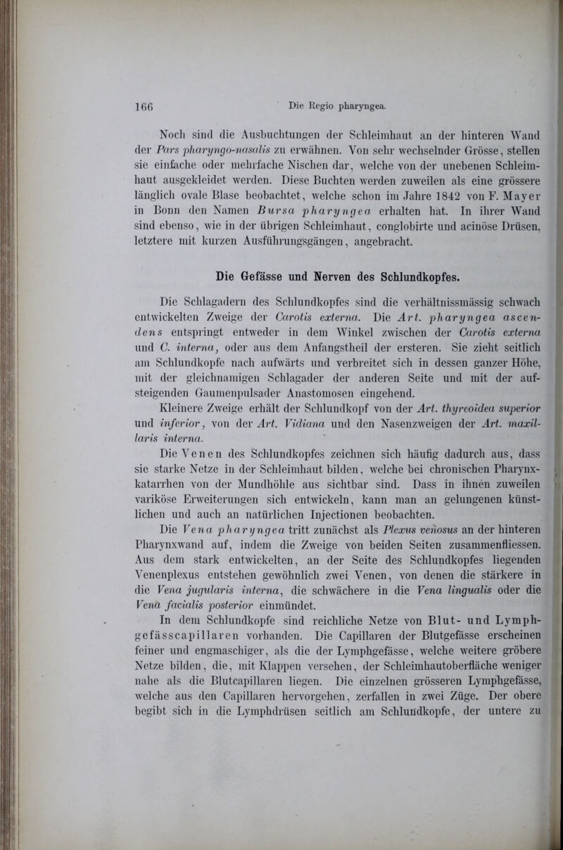 Ißß Die Regio pharyngea. Noch sind die Ausbuchtungen der Schleimhaut an der hinteren Wand der Pars pharyngo-nasalis zu erwähnen. Von sehr wechselnder Grösse, stellen sie einfache oder mehrfache Nischen dar, welche von der unebenen Schleim- haut ausgekleidet werden. Diese Buchten werden zuweilen als eine gi'össere länglich ovale Blase beobachtet, welche schon im Jahre 1842 von F. Mayer in Bonn den Namen Bursa pharyngea erhalten hat. In ihrer Wand sind ebenso, wie in der übrigen Schleimhaut, conglobirte und acinöse Drüsen, 9 letztere mit kurzen Ausführungsgängen, angebracht. | Die Gefässe und Nerven des Schlundkopfes. | Die Schlagadern des Schlundkopfes sind die verhältnissmässig schwach * entwickelten Zweige der Carotis externa. Die Art. pharyngea ascen- de7is entspringt entweder in dem Winkel zwischen der Carotis externa 1 und C. interna, oder aus dem Anfangstheil der ersteren. Sie zieht seitlich :,i am Schlundkopfe nach aufwärts und verbreitet sich in dessen ganzer Höhe, P mit der gleichnamigen Schlagader der anderen Seite und mit der auf- steigenden Gaumenpulsader Anastomosen eingehend. i. Kleinere Zweige erhält der Schlundkopf von der Art. thyreoidea superior ;• und inferior, von der Art. Vidiana und den Nasenzweigen der Art. maxil- lai'is interna. Die Venen des Schlundkopfes zeichnen sich häufig dadurch aus, dass ,'i sie starke Netze in der Schleimhaut bilden, welche bei chronischen Pharynx- ^ katarrhen von der Mundhöhle aus sichtbar sind. Dass in ihnen zuweilen variköse Erweiterungen sich entwickeln, kann man an gelungenen künst- • liehen und auch an natürlichen Injectionen beobachten. Die Vena pharyngea tritt zunächst als Ptexm veriosus an der hinteren t Pharynxwand auf, indem die Zw'eige von beiden Seiten zusanimenfliessen. i Aus dem stark entwickelten, an der Seite des Schlundkopfes liegenden ii ^'enenplexus entstehen gewöhnlich zwei Venen, von denen die stärkere in .i die Vena jugularis interna, die schwächere in die Vena lingualis oder die ) Vena facialis posterior einmündet. In dem Schlundkopfe sind reichliche Netze von Blut- und Lyinph- gefässcapillaren vorhanden. Die Capillaren der Blutgefässe erscheinen i feiner und engmaschiger, als die der Lymphgefässe, welche weitere gröbere < Netze bilden, die, mit Klappen versehen, der Schleimhautoberfläche weniger nahe als die Blutcapillaren liegen. Die einzelnen gi’össeren Lymphgefässe, | welche aus den Capillaren hervorgehen, zerfallen in zwei Züge. Der obere begibt sich in die Lymphdrüsen seitlich am Schlundkopfe, der untere zu