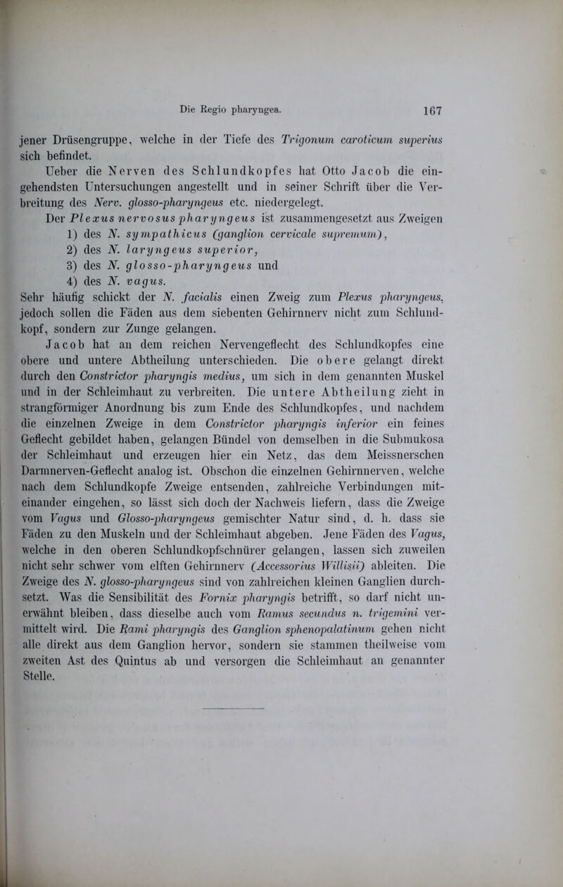 jener Drüsengruppe, welche in der Tiefe des Trigonurn caroticum superius sich befindet. lieber die Nerven des Schlundkopfes hat Otto Jacob die ein- gehendsten Untersuchungen angestellt und in seiner Schrift über die Ver- breitung des N'erv. glosso-pharyngeus etc. niedergelegt. J)ev Plexus nervosus pharyngeus ist zusammengesetzt aus Zweigen 1) des N. sympathicus (ganglion cervicale supremum), 2) des N. laryngeus superior, 3) des N. glosso-pharyngeus und 4) des N. vagus. Sehr häufig schickt der N. facialis einen Zweig zum Plexus pharyngeus. jedoch sollen die Fäden aus dem siebenten Gehirnnerv nicht zum Schlund- kopf, sondern zur Zunge gelangen. Jacob hat an dem reichen Nervengeflecht des Schlundkopfes eine obere und untere Abtheilung unterschieden. Die obere gelangt direkt durch den Constrictor 2>haryngis medius, um sich in dem genannten Muskel und in der Schleimhaut zu verbreiten. Die untere Abtheilung zieht in strangförmiger Anordnung bis zum Ende des Schlundkopfes, und nachdem die einzelnen Zweige in dem Constrictor pharyngis inferior ein feines Geflecht gebildet haben, gelangen Bündel von demselben in die Submukosa der Schleimhaut und erzeugen hier ein Netz, das dem Meissnerschen Darmnerven-Geflecht analog ist. Obschon die einzelnen Gehirnnerven, welche nach dem Schlundkopfe Zweige entsenden, zahlreiche Verbindungen mit- einander eingehen, so lässt sich doch der Nachweis liefern, dass die Zweige vom Vagus und Glosso-pharyngeus gemischter Natur sind, d. h. dass sie Fäden zu den Muskeln und der Schleimhaut abgeben. Jene Fäden des Vagus, welche in den oberen Schlundkopfschnürer gelangen, lassen sich zuweilen nicht sehr schwer vom elften Gehirnnerv (Accessorius JVillisii) ableiten. Die Zweige des N. glosso-pharyngeus sind von zahlreichen kleinen Ganglien durch- setzt. Was die Sensibilität des Fornix pharyngis betrifft, so darf nicht un- erwähnt bleiben, dass dieselbe auch vom Ramus secundus n. trigemini ver- mittelt wird. Die Rami pharyngis des Ganglion sphenopalatinum gehen nicht alle direkt aus dem Ganglion hervor, sondern sie stammen theilweise vom zweiten Ast des Quintus ab und versorgen die Schleimhaut an genannter Stelle.