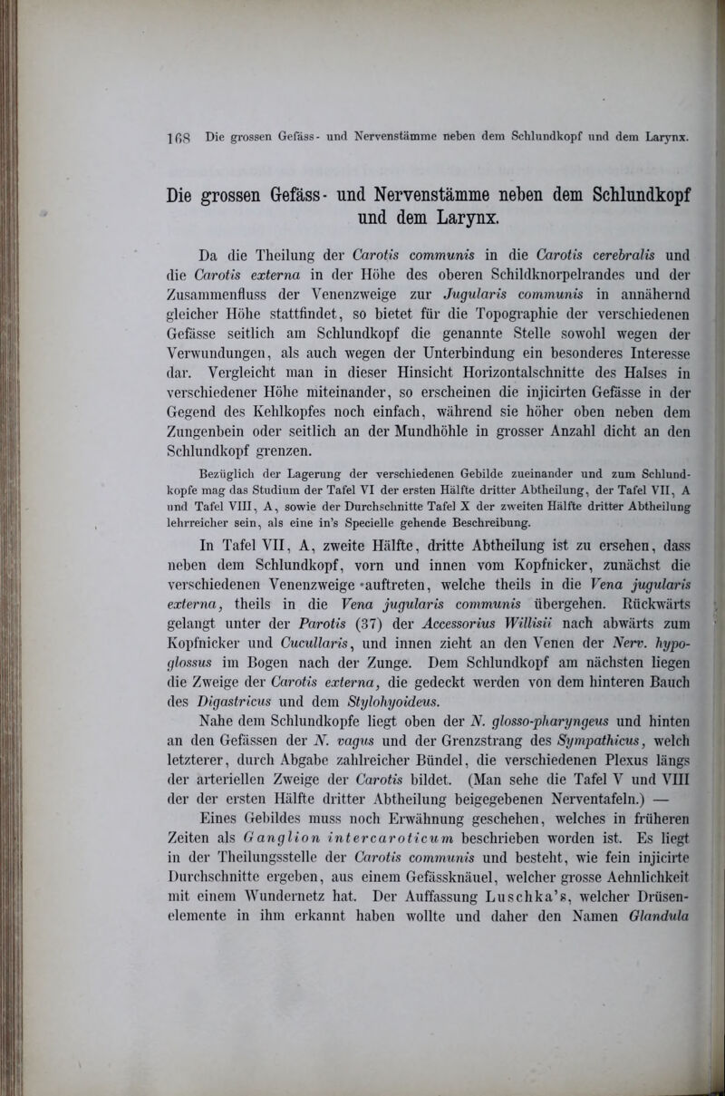 ins Die grossen Gefäss- und Nervenstämme neben dem Schlundkopf und dem Larynx. Die grossen Gefäss- und Nervenstämme neben dem Schlundkopf und dem Larynx. Da die Theilimg der Carotis communis in die Carotis cerebraUs und die Carotis externa in der Höhe des oberen Schildknorpelrandes und der Zusammenfluss der Venenzweige zur Jugularis communis in annähernd gleicher Höhe stattfindet, so bietet für die Topogi’aphie der verschiedenen Gefässe seitlich am Schlundkopf die genannte Stelle sowohl wegen der Verwundungen, als auch wegen der Unterbindung ein besonderes Interesse dar. Vergleicht man in dieser Hinsicht Horizontalschnitte des Halses in verschiedener Höhe miteinander, so erscheinen die injicirten Gefasse in der Gegend des Kehlkopfes noch einfach, während sie höher oben neben dem Zungenbein oder seitlich an der Mundhöhle in gi’osser Anzahl dicht an den Schlundkopf grenzen. Bezüglich der Lagerung der verschiedenen Gebilde zueinander und zum Schlund- kopfe mag das Studium der Tafel VI der ersten Hälfte dritter Abtheilung, der Tafel VII, A und Tafel VIII, A, sowie der Durchschnitte Tafel X der zweiten Hälfte dritter Abtheilung lehrreicher sein, als eine in’s Specielle gehende Beschreibung. In Tafel VII, A, zweite Hälfte, dritte Abtheilung ist zu ersehen, dass neben dem Schlundkopf, vorn und innen vom Kopfnicker, zunächst die verschiedenen Venenzweige »auftreten, welche theils in die Vena jugularis externa, theils in die Vena jugularis communis übergehen. Rückwärts gelangt unter der Parotis (37) der Accessorius Willisii nach abwärts zum Kopfnicker und Cucullaris, und innen zieht an den Venen der Verr. hypo- glossus im Bogen nach der Zunge. Dem Schlundkopf am nächsten liegen die Zweige der Carotis externa, die gedeckt werden von dem hinteren Bauch des Digastricus und dem Stylohyoideus. Nahe dem Schlundkopfe liegt oben der N. glosso-pharyngeus und hinten an den Gefässen der N. vagus und der Grenzstrang des Sympathicus, welch letzterer, durch Abgabe zahlreicher Bündel, die verschiedenen Plexus längs der arteriellen Zweige der Carotis bildet. (Man sehe die Tafel V und VIII der der ersten Hälfte dritter Abtheilung beigegebenen Nerventafeln.) — Eines Gebildes muss noch Erwähnung geschehen, welches in früheren Zeiten als G anglion intercaroticum beschrieben worden ist. Es liegt in der Theilungsstelle der Carotis communis und besteht, wie fein injicirto Durchschnitte ergeben, aus einem Gefässknäuel, welcher grosse Aehnlichkeit mit einem Wundernetz hat. Der Auffassung Luschka’s, welcher Drüsen- elemente in ihm erkannt haben wollte und daher den Namen Glandula