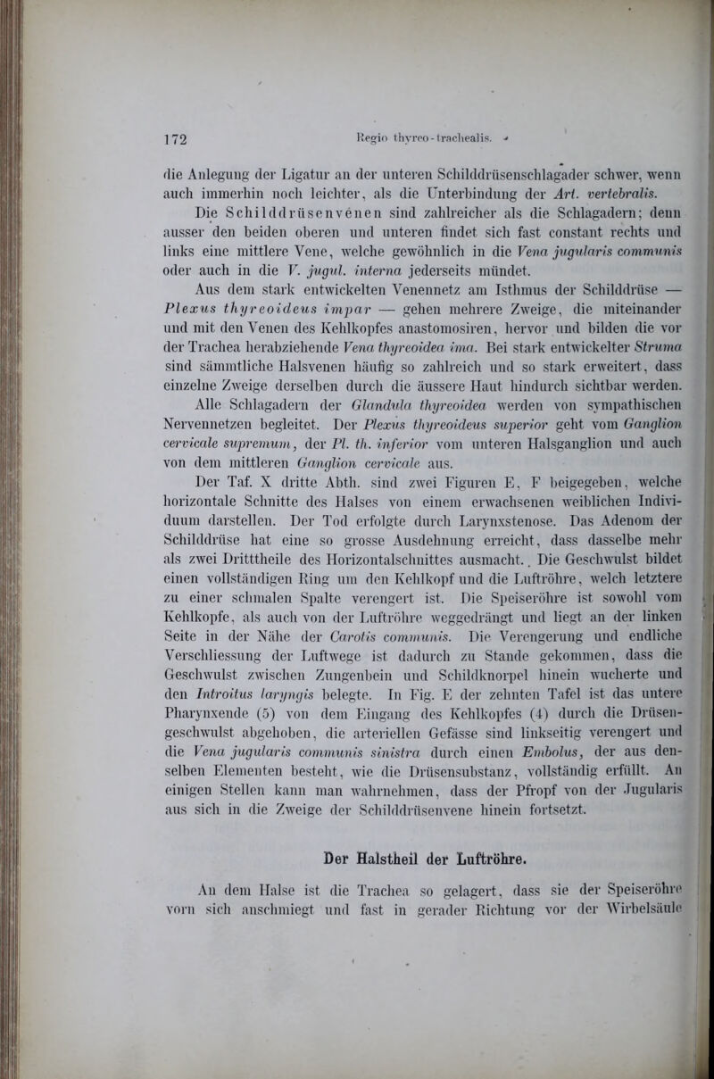 die Anlegung der Ligatur an der unteren Scliikldrüsenschlagader schwer, wenn auch immerhin noch leicliter, als die Unterbindung der Ari. vertebralis. Die Schilddrüsenvenen sind zahlreicher als die Schlagadern; denn ausser den beiden oberen und unteren findet sich fast constant rechts und links eine mittlere Vene, welche gewöhnlich in die Vena jugnlaris communis oder auch in die V. jugul. interna jederseits mündet. Aus dem stark entwickelten Venennetz am Isthmus der Schilddrüse — Plexus thyreoideus impar — gehen mehrere Zweige, die miteinander und mit den Venen des Kehlkopfes anastomosiren, hervor und bilden die vor der Trachea herabziehende Fe?ia thyreoidea inia. Bei stark entwickelter Struma sind sämmtliche Halsvenen häufig so zahlreich und so stark erweitert, dass einzelne Zweige derselben durch die äussere Haut hindurch sichtbar werden. Alle Schlagadern der Glandula thyreoidea werden von sympathischen Nervennetzen begleitet. Der Plexus thyreoideus superior geht vom Ganglion cervicale supremum, der PL th. inferior vom unteren Halsganglion und auch von dem mittleren Gamglion cervicale aus. Der Taf. X dritte Abth. sind zwei Figuren E, F l)eigegeben, welche horizontale Schnitte des Halses von einem erwachsenen weiblichen Indivi- duum darstellen. Der Tod erfolgte durch Larynxstenose. Das Adenom der Schilddrüse hat eine so grosse Ausdehnung erreicht, dass dasselbe mehr als zwei Dritttheile des Horizontalschnittes ausmacht.. Die Geschwulst bildet einen vollständigen Bing um den Kehlkopf und die Luftröhre, welch letztere zu einer schmalen Spalte verengert ist. Die Speiseröhre ist sowohl vom Kehlkopfe, als auch von der Luftröhre weggedrängt und liegt an der linken Seite in der Nähe der Carotis communis. Die Verengerung und endliche Verschliessung der Luftwege ist dadurch zu Stande gekommen, dass die Geschwulst zwischen Zungenbein und Schildknorpel hinein wucherte und den Introitus laryngis belegte. In Fig. E der zehnten Tafel ist das untere Pharynxende (5) von dem Eingang des Kehlkopfes (4) durch die Drüsen- geschwulst abgehoben, die arteriellen Gefässe sind linkseitig verengert und die Vena jugxdaris communis sinistra durch einen Embolus, der aus den- selben Elementen besteht, wie die Drüsensubstanz, vollständig erfüllt. An einigen Stellen kann man wahrnehmen, dass der Pfropf von der Jugularis aus sich in die Zweige der Schilddrüsenvene hinein fortsetzt. Der Halstheil der Luftröhre. An dem Halse ist die Trachea so gelagert, dass sie der Speiseröhr(' vorn sich anschmiegt und fast in gerader Piichtung vor der Wirbelsäuhi