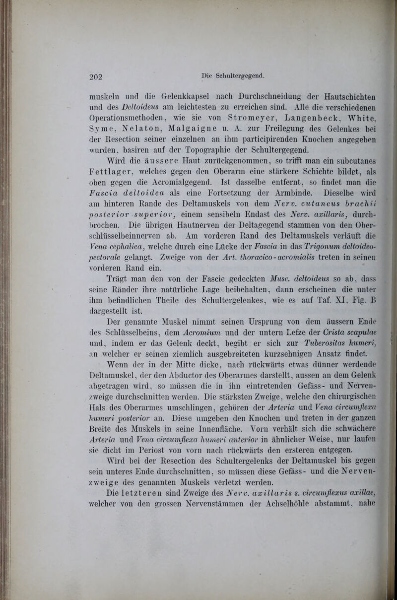 miiskeln und die Gelenkkapsel nach Durchschneidung der Hautschichteu und des Deltoideus am leichtesten zu eiTeichen sind. Alle die verschiedenen Operationsinethoden. wie sie von Stromeyer, Langenheck, White. Sy me, Nelaton, Malgaigne u. A. zur Freilegung des Gelenkes hei der Resection seiner einzelnen an ihm participirenden Knochen angegeben wurden, hasiren auf der Topographie der Schultergegend. Wird die äussere Haut ziirückgenommen, so tritft man ein suhcutanes Fettlager, welches gegen den Oberarm eine stärkere Schichte bildet, als oben gegen die Acromialgegend. Ist dasselbe entfernt, so findet man die Fascia deltoidea als eine Fortsetzung der Armbinde. Dieselbe wird am hinteren Rande des Deltamuskels von dem Nerv, cutancus brachii ^ posterior superior, einem sen.sibeln Endast des Nerv. a.viUaris, durch- ' brochen. Die übrigen Hautnerven der Deltagegend stammen von den Ober- ~ schlüsselbeinnerven ab. Am vorderen Rand des Deltamuskels verläuft die Vena cephaUca, welche durch eine Lücke der Faser« in das Trigonum delloideo- • pectorale gelangt. Zweige von der Art. thoracico - acromialis treten in seinen vorderen Rand ein. Trägt man den von der Fascie gedeckten Muse, deltoideus so ab, da.s.s ^ seine Ränder ihre natürliche Lage heibehalten, dann erscheinen die unter ihm Irefindlichen Theile des Schultergelenkes, wie es auf Taf. XI. Fig. R (largestellt ist. Der genannte Muskel nimmt seinen Ursprung von dem äussern Ende des Schlüsselbeins, dem Acromium und der untern Lefze der Crista scapulae und, indem er das Gelenk deckt, begibt er sich zur Tuberositas humeri, an welcher er seinen ziemlich ausgebreiteten kurzsehnigen Ansatz findet. Wenn der in der Mitte dicke, nach rückwärts etwas dünner werdende Deltamuskel, der den Abductor des Oberarmes darstellt, aussen an dem Gelenk abgetragen wird, so müssen die in ihn eintretenden Gefäss- und Nerven- zweige durchschnitten werden. Die stärksten Zweige, welche den chirurgischen Hals des Oberarmes umschlingen, gehören der Arteria und Vena circumflexu • humeri posterior an. Diese umgeben den Knochen und treten in der ganzen Breite des Muskels in seine Innenfläche. Vorn verhält sich die schwächere * Arteria und Vena circumflexa Immeri anterior in ähnlicher Weise, nur laufi'ii ' sie dicht im Periost von vorn nach rückwärts den ersteren entgegen. Wird hei der Resection des Schultergelenks der Deltamuskel bis gegen sein unteres Ende durchschnitten, so müssen diese Gefäss- und die Nerven- zweige des genannten Muskels verletzt werden. Die letzteren sind Zweige des Wert'. welcher von den grossen Nervenstämmen