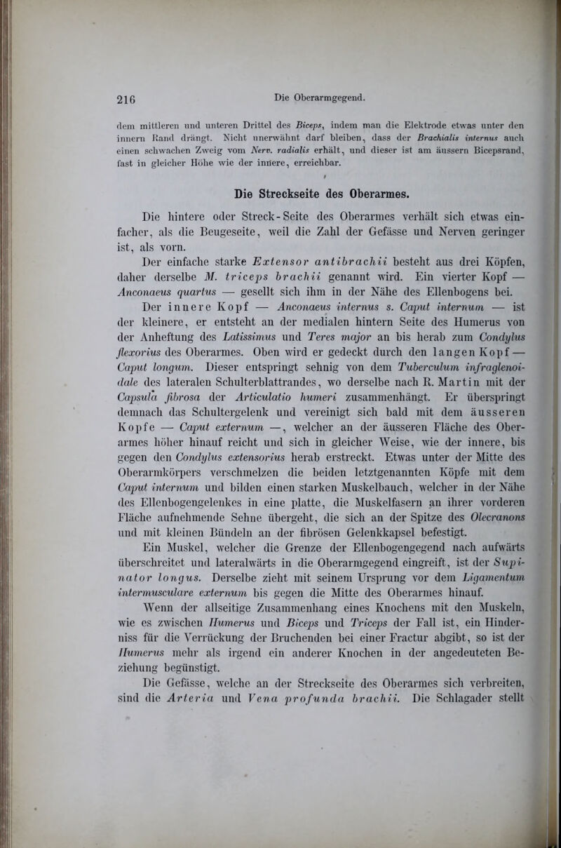 dem mittleren und unteren Drittel des Biceps, indem man die Elektrode etwas unter den innern Hand drängt. Nicht unerwähnt darf bleiben, dass der Brachialis internus auch einen schwachen Zweig vom Nerv, radialis erhält, und dieser ist am äussern Bicepsrand, last in gleicher Höhe wie der innere, erreichbar. Die Streckseite des Oberarmes. Die liintere oder Streck-Seite des Oberarmes verhält sich etwas ein- facher, als die Beugeseite, weil die Zahl der Gefässe und Nerven geringer ist, als vorn. Der einfache starke Extensor antibrachii besteht aus drei Köpfen, daher derselbe M. triceps brachii genannt wird. Ein vierter Kopf — Änconaeus quartus — gesellt sich ihm in der Nähe des Ellenbogens bei. Der innere Kopf — Änconaeus internus s. Caput internuni — ist der kleinere, er entsteht an der medialen hintern Seite des Humerus von der Anheftung des Latissimus und Teres major an bis herab zum Condylus flexorius des Oberarmes. Oben wird er gedeckt durch den langen Kopf — Caput longum. Dieser entspringt sehnig von dem Tuberculum infraglenoi- dale des lateralen Schulterblattrandes, wo derselbe nach R. Martin mit der Capsula fibrosa der Ärticulatio liumeri zusammenhängt. Er überspringt demnach das Schultergelenk und vereinigt sich bald mit dem äusseren Kopfe — Caput externum —, welcher an der äusseren Fläche des Ober- armes höher hinauf reicht und sich in gleicher Weise, wie der innere, bis gegen den Condylus extensorius herab erstreckt. Etwas unter der Mitte des Oberarmkörpers verschmelzen die beiden letztgenannten Köpfe mit dem Caput internum und bilden einen starken Muskelbauch, welcher in der Nähe des Ellenbogengelenkes in eine platte, die Muskelfasern an ihrer vorderen Fläche aufnehmende Sehne übergeht, die sich an der Spitze des Olecranons und mit kleinen Bündeln an der fibrösen Gelenkkapsel befestigt. Ein Muskel, welcher die Grenze der Ellenbogengegend nach aufwärts überschreitet und lateralwärts in die Oberarmgegend eingreift, ist der Supi- nator longus. Derselbe zieht mit seinem Ursprung vor dem Ligamentum intermusculare externum bis gegen die Mitte des Oberarmes hinauf. Wenn der allseitige Zusammenhang eines Knochens mit den Muskeln, wie es zwischen Humerus und Biceps und Triceps der Fall ist, ein Hinder- niss für die Verrückung der Bruchenden bei einer Fractur abgibt, so ist der Humerus mehr als irgend ein anderer Knochen in der angedeuteten Be- ziehung begünstigt. Die Gefässe, welche an der Streckseite des Oberarmes sich verbreiten, sind die Arteria und Vena profunda brachii. Die Schlagader stellt