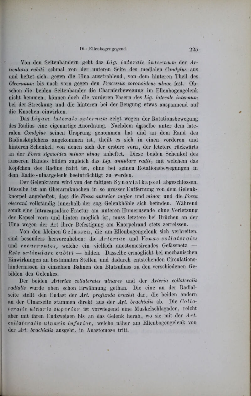 Von den Seitenbändern geht das Lig. laterale internum der Ar- tieulatio cubiti schmal von der unteren Seite des medialen Condylus aus und heftet sich, gegen die Ulna ausstrahlend, von dem hinteren Theil des Olecranum bis nach vorn gegen den Processus coronoideus ulnae fest. Ob- schon die beiden Seitenbänder die Charnierbewegung im Ellenbogengelenk nicht hemmen, können doch die vorderen Fasern des Lig. laterale internum bei der Streckung und die hinteren bei der Beugung etwas anspannend auf die Knochen eimvirken. * Das Ltgam. laterale externum zeigt wegen der Rotationsbewegung des Radius eine eigenartige Anordnung. Nachdem dasselbe unter dem late- ralen Condylus seinen Ursprung genommen hat und an dem Rand des Radiusköpfchens angekommen ist, theilt es sich in einen vorderen und hinteren Schenkel, von denen sich der erstere vorn, der letztere rückwärts an der Fossa sigmoidea minor ulnae anheftet. Diese beiden Schenkel des äusseren Bandes bilden zugleich das Lig. annulare radii, mit welchem das Köpfchen des Radius fixirt ist, ohne bei seinen Rotationsbewegungen in dem Radio - ulnargelenk beeinträchtigt zu werden. Der Gelenkraum wird von der faltigen Synovialkapsel abgeschlossen. Dieselbe ist am Oberarmknochen in so grosser Entfernung von dem Gelenk- knorpel angeheftet, dass die Fossa anterior major und minor und die Fossa olecrani vollständig innerhalb der sog. Gelenkhöhle sich befinden. Während somit eine intracapsuläre Fractur am unteren Humerusende ohne Verletzung * der Kapsel vorn und hinten möglich ist, muss letztere bei Brüchen an der P Ulna wegen der Art ihrer Befestigung am Knorpelrand stets zerreissen. Von den kleinen Gefässen, die am Ellenbogengelenk sich verbreiten, ' sind besonders hervorzuheben: die Arteriae und Venae collaterales und recurrentes, welche ein vielfach anostomosirendes Gefässnetz — Rete articulare cubiti — bilden. Dasselbe ermöglicht bei mechanischen Einwirkungen an bestimmten Stellen und dadurch entstehenden Circulations- hindernissen in einzelnen Bahnen den Blutzufluss zu den verschiedenen Ge- bilden des Gelenkes. Der beiden Arteriae collaterales ulnares und der Arteria collateralis ■ radialis wurde oben schon Erwähnung gethan. Die eine au der Radial- I Seite stellt den Endast der Art. profunda brachii dar, die beiden andern ' an der Ulnarseite stammen direkt aus der Art. brachialis ab. Die Colla- I teralis ulnaris superior ist vorwiegend eine Muskelschlagader, reicht aber mit ihren Endzweigen bis an das Gelenk herab, wo sie mit der Art. collateralis ulnaris inferior, welche näher am Elicnbogengelenk von : der Art. brachialis ausgeht, in Anastomose tritt. 1