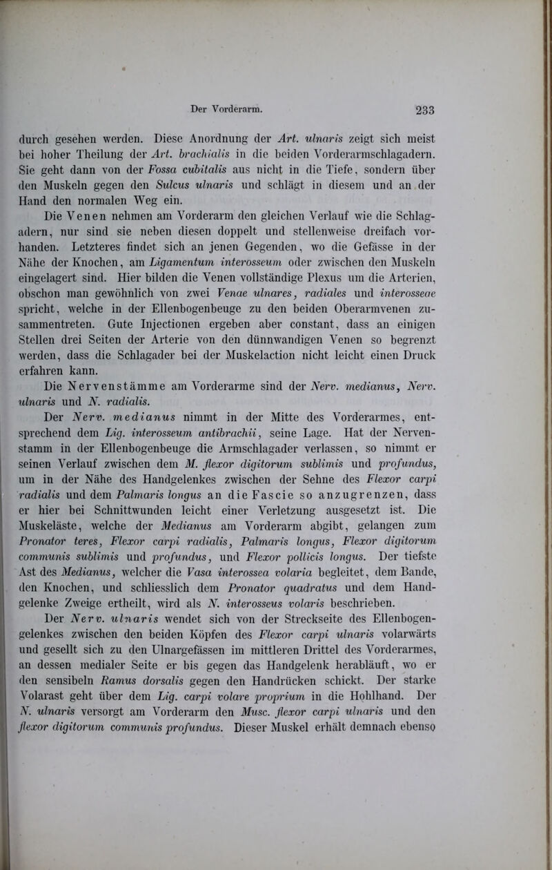 durch gesehen werden. Diese Anordnung der Art. ulnaris zeigt sich meist bei hoher Theilung der Art. brachialis in die beiden Vorderarinschlagadern. Sie geht dann von der Fossa cubitalis aus nicht in die Tiefe, sondern über den Muskeln gegen den Sulcus ulnaris und schlägt in diesem und an der Hand den normalen Weg ein. Die Venen nehmen am Vorderarm den gleichen Verlauf wie die Schlag- adern, nur sind sie neben diesen doppelt und stellenweise dreifach vor- handen. Letzteres findet sich an jenen Gegenden, wo die Gefässe in der Nähe der Knochen, am Ligamentum interosseum oder zwischen den Muskeln eingelagert sind. Hier bilden die Venen vollständige Plexus um die Arterien, obschon man gewöhnlich von zwei Venae ulnares, radiales und interosseae spricht, welche in der Ellenbogenbeuge zu den beiden Oberarmvenen zu- sammentreten. Gute Injectionen ergeben aber constant, dass an einigen Stellen drei Seiten der Arterie von den dünnwandigen Venen so begrenzt werden, dass die Schlagader bei der Muskelaction nicht leicht einen Druck erfahren kann. Die Nervenstämme am Vorderarme sind der Nerv, medianus, Nerv, ulnaris und N. radialis. Der Nerv, medianus nimmt in der Mitte des Vorderarmes, ent- sprechend dem Lig. interosseum aniibrachii, seine Lage. Hat der Nerven- stamm in der Ellenbogenbeuge die Armschlagader verlassen, so nimmt er seinen Verlauf zwischen dem M. flexor digitorum sublimis und profundus, um in der Nähe des Handgelenkes zwischen der Sehne des Flexor carpi radialis und dem Palmaris longus an dieFascie so anzugrenzen, dass er hier bei Schnittwunden leicht einer Verletzung ausgesetzt ist. Die Muskeläste, welche der Medianus am Vorderarm abgibt, gelangen zum Pronator teres, Flexor carpi radialis, Palmaris longus, Flexor digitorum communis sublimis und profundus, und Flexor pollicis longus. Der tiefste Ast des Medianus, welcher die Vasa interossea volaria begleitet, dem Bande, den Knochen, und schliesslich dem Pronator quadratus und dem Hand- gelenke Zweige ertheilt, wird als N. interosseus volaris beschrieben. Der Nerv, ulnaris wendet sich von der Streckseite des Ellenbogen- gelenkes zwischen den beiden Köpfen des Flexor carpi ulnaris volarwärts und gesellt sich zu den Ulnargefässen im mittleren Drittel des Vorderarmes, an dessen medialer Seite er bis gegen das Handgelenk herabläuft, wo er den sensibeln Ramus doi'salis gegen den Handrücken schickt. Der starke V’^olarast geht über dem Lig. carpi volare proprium in die Hohlhand. Der iV. ulnaris versorgt am Vorderarm den Muse, flexor carpi ulnaris und den flexor digitorum communis profundus. Dieser Muskel erhält demnach ebenso