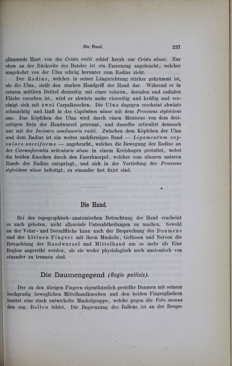 glänzende Haut von der Crista radii schief herab zur Crista, ulnae. Nur oben an der Rückseite des Bandes ist ein Fasernzug angebracht,, welcher umgekehrt von der Ulna schräg herunter zum Radius zieht. Der Radius, welcher in seiner Längsrichtung stärker gekrümmt ist, als die Ulna, stellt den starken Handgriff der Hand dar. Während er in seinem mittlern Drittel dreiseitig mit einer volaren, dorsalen und radialen Fläche versehen ist, wird er abwärts mehr vierseitig und kräftig und ver- einigt sich mit zwei Carpalknochen. Die Ulna dagegen erscheint abwärts schmächtig und läuft in das Capitulum ulnae mit dem Processus styloideus aus. Das Köpfchen der Ulna wird durch einen Meniscus von dem drei- seitigen Bein der Handwurzel getrennt, und dasselbe articulirt demnach nur mit der Incisura semilunaris radii. Zwischen dem Köpfchen der Ulna und dem Radius ist ein weites sackförmiges Band — Ligamentum cap- sulare sacciforme — angebracht, welches die Bewegung des Radius an der Circumferentia articularis ulnae in einem Kreisbogen gestattet, wobei die beiden Knochen durch den Faserknorpel, welcher vom ulnaren unteren Rande des Radius entspringt, und sich in der Vertiefung des Processus styloideus ulnae befestigt, zu einander fest fixirt sind. Die Hand. Bei der topographisch - anatomischen Betrachtung der Hand erscheint es auch geboten, nicht allzuviele Unterabtheilungen zu machen. Sowohl an der Volar- und Dorsalfläche kann nach der Besprechung des Daumens und des kleinen Fingers mit ihren Muskeln, Gefässen und Nerven die Betrachtung der Handwurzel und Mittelhand um so mehr als Eine Region angereiht werden, als sie weder physiologisch noch anatomisch von einander zu trennen sind. Die Daumengegend (Regio pollicis). Der zu den übrigen Fingern eigenthümlich gestellte Daumen mit seinem hochgradig beweglichen Mittelhandknochen und den beiden Fingergliedern besitzt eine stark entwickelte Muskelgruppe, welche gegen die Vota manus den sog. Ballen bildet. Die Begrenzung des Ballens ist an der Beuge-