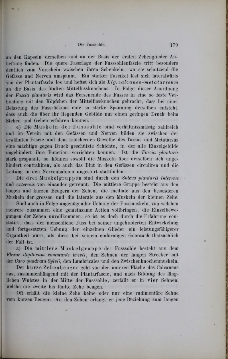 an (len Kapseln derselben und an der Basis der ersten Zehenglieder An- heftung finden. Die quere Faserlage der Fusssolilenfascie tritt besonders deutlich zum Vorschein zwischen ihren Schenkeln, wo sie schützend die Gefässe und Nerven umspannt. Ein starker Fascikel löst sich lateralwärts von der Plantarfascie los und heftet sich als Lig. calcaneo-metatarseum an die Basis des fünften Mittelfussknochens. In Folge dieser Anordnung der Fascia plantaris wird das Fersenende des Fusses in eine so feste Ver- bindnng mit den Köpfchen der Mittelfussknochen gebracht, dass bei einer ' Belastung des Fussrückens eine so starke Spannung derselben entsteht, ! dass auch die über ihr liegenden Gebilde nur einen geringen Druck beim I Stehen und Gehen erfahren können. I 4) Die Muskeln der Fnsssohle sind verhältnissmässig zahlreich ! und im Verein mit den Gefässen und Nerven bilden sie zwischen der erwähnten Fascie und dem knöchernen Gewölbe des Tarsus und Metatarsus i eine mächtige gegen Druck geschützte Schichte, in der alle Einzelgebilde ungehindert ihre Function verrichten können. Ist die Fascia plantaris stark gespannt, so können sowohl die Muskeln über derselben sich unge- hindert contrahiren, als auch das Blut in den Gefässen circuliren und die Leitung in den Nervenbahnen ungestört stattfinden. Die drei Muskelgruppen sind durch den Sulcus plantaris internus und externus von einander getrennt. Die mittlere Gruppe besteht aus den langen und kurzen Beugern der Zehen, die mediale aus den besonderen Muskeln der grossen und die laterale aus den Muskeln der kleinen Zehe. Sind auch in Folge ungenügender Uebung der Fussmuskeln, von welchen mehrere zusammen eine gemeinsame Action vollbringen, die Einzelbewe- gnngen der Zehen unvollkommen, so ist es doch durch die Erfahrung con- statirt, dass der menschliche Fuss bei seiner ungehinderten Entwickelung und fortgesetzten Uebung der einzelnen Glieder ein leistungsfähigerer Organtheil wäre, als diess bei seinem einförmigen Gebrauch thatsächlich der Fall ist. • a) Die mittlere Muskelgruppe der Fusssohle besteht aus dem Flexor digitorum communis brevis, den Sehnen der langen Strecker mit der Caro quadrata Sulvii, den Lnmbricales und den Zwischenknochenmuskeln. Der kurze Zehenbeuger geht von der unteren Fläche des Calcaneus aus, zusammenhängend mit der Plantarfascie, und nach Bildung des läng- lichen Wulstes in der Mitte der Fusssohle, zerfällt er in vier Sehnen, welche die zweite bis fünfte Zehe beugen. C Oft erhält die kleine Zehe keine oder nur eine rudimentäre Sehne | vom kurzen Beuger. An den Zehen erlangt er jene Beziehung zum langen | I.