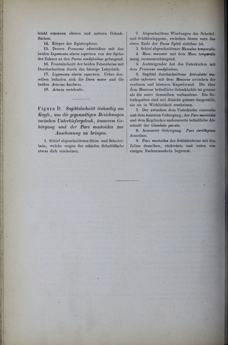 leicht concaven oberen und unteren Gelenk- flächen. 14. Körper des Epistropheus. 15. Dessen Processus odontoideus mit den beiden Ligamenta alaria superiora von der Spitze des Zahnes zu den Partes condyloideae gelangend. 16. Frontalschnitt der beiden Felsenbeine mit Durchschnitten diircli das häutige Labyrinth. 17. Ligamenta alaria superiora. lieber den- selben befinden sich die Dura mater und die beiden Arteriae hasilares. 18. Arteria vertebralis. Figura D. Sagittalschnitt linkseitig am Kopfe, um die gegenseitigen Beziehungen zwischen Unterkiefergelenk, äusserem Ge- hörgang und der Pars mastoidea zur Anschauung zu bringen. 1. Schief abgeschnittenes Stirn- und Scheitel- bein, welche wegen der schiefen Sclinittfläche etwas dick erscheinen. 2. Abgeschnittene Windungen des Scheitel- und Schläfenlappens, zwischen denen vorn das obere Ende der Fossa Sylvii sichtbar ist. 3. Schief abgeschnittener Musculus temporalis. 4. Muse, masseter mit dem Muse, temporalis innig zusammenhängend. 5. Aufsteigender Ast des Unterkiefers mit dem Processus condyloideus. 6. Sagittal durchschnittene Articulalio ma- xillae inferioris mit dem Meniscus zwischen der vorderen und hinteren Kapselwand. Die über dem Meniscus befindliche Gelenkhöhle ist grösser als die unter demselben vorhandene. Die Ge- lenkspalten sind mit Absicht grösser dargestellt, als sie in Wirklichkeit erscheinen. 7. Der zwischen dem Unterkiefer einerseits und dem äusseren Gehörgang, der Pars mastoidea und dem Kopfnicker andererseits befindliche Ab- schnitt der Glandula parotis. 8. Aeusserer Gehörgang. Pars cartilhginea desselben. 9. Pars mastoidea des Schläfenbeins mit den Zellen desselben, lückwärts und unten von einigen Nackenmuskeln begrenzt. I