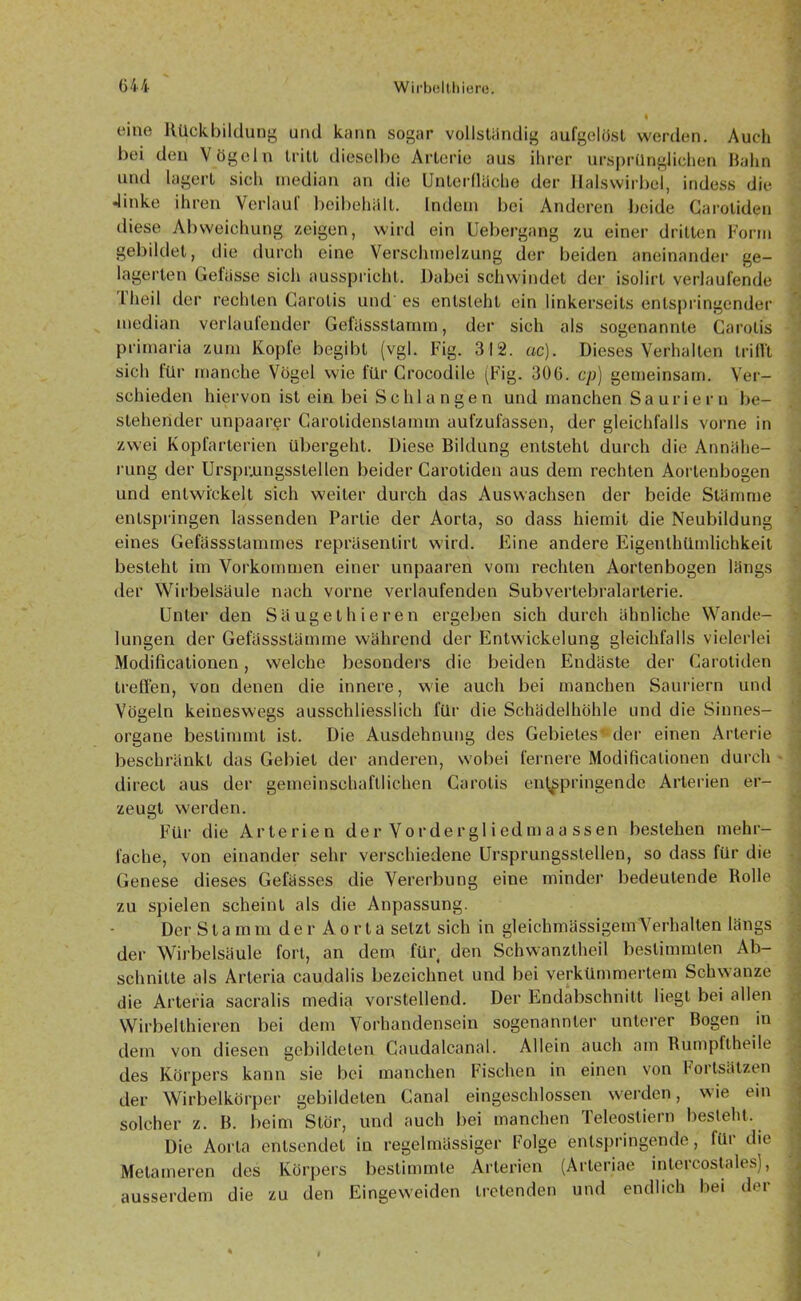 eine Rückbildung und kann sogar vollständig aufgelöst werden. Auch bei den Vögeln tritt dieselbe Arterie aus ihrer ursprünglichen Hahn und lagert sich median an die Unterflüche der Halswirbel, indess die -linke ihren Verlauf beibehült. Indem bei Anderen beide Carotiden diese Abweichung zeigen, wird ein Uebergang zu einer dritten Form gebildet, die durch eine Verschmelzung der beiden aneinander ge- lagerten Gefiisse sich ausspricht. Dabei schwindet der isolirt verlaufende 1 heil der rechten Carotis und' es entsteht ein linkerseits entspringender median verlaufender Gefässstamm, der sich als sogenannte Carotis primaria zum Kopfe begibt (vgl. Fig. 312. ac). Dieses Verhalten trifft sich für manche Vögel wie für Crocodile (Fig. 306. cp) gemeinsam. Ver- schieden hiervon ist ein bei Schlangen und manchen Sauriern be- stehender unpaar$r Garolidenslamm aufzufassen, der gleichfalls vorne in zwei Kopfarterien übergeht. Diese Bildung entsteht durch die Annähe- rung der Urspr.ungsstellen beider Carotiden aus dem rechten Aortenbogen und entwickelt sich weiter durch das Auswachsen der beide Stämme entspringen lassenden Partie der Aorta, so dass hiemit die Neubildung eines Gefässstammes repräsentirt wird. Eine andere Eigenlhümlichkeit besteht im Vorkommen einer unpaaren vom rechten Aortenbogen längs der Wirbelsäule nach vorne verlaufenden Subverlebralarterie. Unter den Säuget liieren ergeben sich durch ähnliche Wande- lungen der Gefässstämme während der Entwickelung gleichfalls vielerlei Modificationen, welche besonders die beiden Endäste der Carotiden treffen, von denen die innere, wie auch bei manchen Sauriern und Vögeln keineswegs ausschliesslich für die Schädelhöhle und die Sinnes- organe bestimmt ist. Die Ausdehnung des Gebietes1'der einen Arterie beschränkt das Gebiet der anderen, wobei fernere Modificationen durch direct aus der gemeinschaftlichen Carotis entspringende Arterien er- zeugt werden. Für die Arterien der Vo r der gl i ed m a a ss en bestehen mehr- fache, von einander sehr verschiedene Ursprungsstellen, so dass für die Genese dieses Gefässes die Vererbung eine minder bedeutende Rolle zu spielen scheint als die Anpassung. Der Stamm der Aorta setzt sich in gleichmässigemVerhalten längs der Wirbelsäule fort, an dem für den Schwanztheil bestimmten Ab- schnitte als Arteria caudalis bezeichnet und bei verkümmertem Schwänze die Arteria sacralis media vorstellend. Der Endabschnitt liegt bei allen Wirbelthieren bei dem Vorhandensein sogenannter unterer Bogen in dem von diesen gebildeten Caudalcanal. Allein auch am Bumpftheile des Körpers kann sie bei manchen Fischen in einen von Fortsätzen der Wirbelkörper gebildeten Canal eingeschlossen werden, wie ein solcher z. B. beim Stör, und auch bei manchen Teleostiern besteht. Die Aorta entsendet in regelmässiger Folge entspringende, für die Metameren des Körpers bestimmte Arterien (Arteriae intercostales], ausserdem die zu den Eingeweiden tretenden und endlich bei der