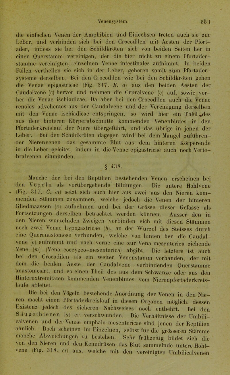 die einfachen Venen der Amphibien und Eidechsen treten auch sie zur Leber, und verbinden sich bei den Crocodilen mit Aesten der Pfort- ader, indess sie bei den Schildkröten sich von beiden Seiten her in einen Querstamm vereinigen, der die hier nicht zu einem Pforlader- stamme vereinigten, einzelnen Venae intestinales aufnimmt. In beiden Fällen vertheilen sie sich in der Leber, gehören somit zum Pfortader- systeme derselben. Bei den Crocodilen wie bei den Schildkröten gehen die Venae epigastricae (Fig. 317. B. a) aus den beiden Aesten der Caudalvene (c) hervor und nehmen die Cruralvcne (c) auf, sowie vor- her die Venae ischiadicae. Da aber bei den Crocodilen auch die Venae renales advehentes aus der Caudalvene und der Vereinigung derselben mit den Venae ischiadicae entspringen, so wird hier ein Thfeil *des aus dem hinteren Körperabschnitte kommenden Venenblules in den Pfortaderkreislauf der Niere übergeführt, und das übrige in jenen der Leber. Bei den Schildkröten dagegen wird bei dem Mangel zuführen- der Nierenvenen das gesammte Blut aus dem hinteren Körperende in die Leber geleitet, indem in die Venae epigastricae auch noch Verte- bralvenen einmünden. § 438. Manche der bei den Reptilien bestehenden Venen erscheinen bei den Vögeln als vorübergehende Bildungen. Die untere Hohlvene » (Fig. 317. C. ci) setzt sich auch hier aus zwei aus den Nieren kom- menden Stämmen zusammen, welche jedoch die Venen der hinteren Gliedmaassen (c) aufnehmen und bei der Grösse dieser Gefasse als Fortsetzungen derselben betrachtet werden können. Ausser den in den Nieren wurzelnden Zweigen verbinden sich mit diesen Stämmen noch zwei Venae hypogaslricae (A), an der Wurzel des Steisses durch eine Queranaslomose verbunden, welche von hinten her die Caudal- vene (c) aufnimmt und nach vorne eine zur Vena mesenterica ziehende \ene (m) (Vena coccygeo-mesenterica) abgibt. Die letztere ist auch bei den Crocodilen als ein weiter Venenstamm vorhanden, der mit dem die beiden Aesle der Caudalvene verbindenden Querstamme anastomosirt, und so einen I heil des aus dem Schwänze oder aus den Hintei extremiläten kommenden Venenblutes vom Nierenpfortaderkreis— laufe ableitet. Die bei den V ögeln bestehende Anordnung der Venen in den Nie- ren macht einen Pfortaderkreislauf in diesen Organen möglich, dessen Existenz jedoch des sicheren Nachweises noch entbehrt. Bei den Säugethieren ist er verschwunden. Die Verhältnisse der Umbili- calvenen und der Venae omphalo-mesentericae sind jenen der Reptilien ähnlich. Doch scheinen im Einzelnen, selbst für die grösseren Stämme manche Abweichungen zu bestehen. Sehr frühzeitig bildet sich die von den Nieren und den Keimdrüsen das Blut sammelnde untere Hohl- vene (Fig. 318. ci) aus, welche mit den vereinigten Umbilicalvenen
