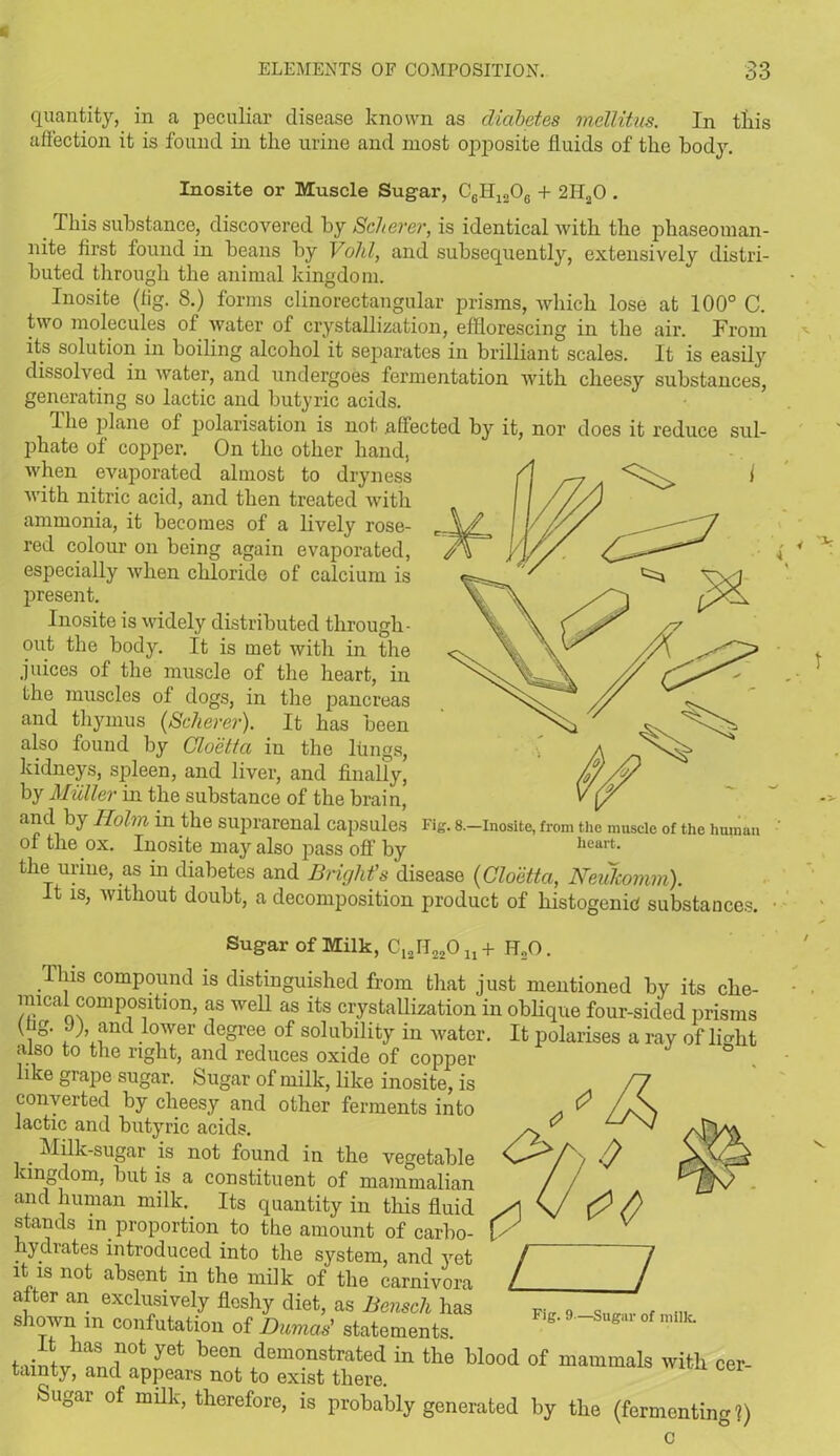 quantity, in a peculiar disease known as diabetes mellitus. In this affection it is found in the urine and most opposite fluids of the bod}'. Inosite or Muscle Sugar, C0H12O6 + 2H„0 . This substance, discovered by Scherer, is identical with the phaseoman- nite flrst found in beans by Void, and subsequently, extensively distri- buted through the animal kingdom. Inosite (iig. 8.) forms clinorectangular prisms, which lose at 100° C. two molecules of water of crystallization, efflorescing in the air. From its solution in boiling alcohol it separates in brilliant scales. It is easily dissolved in water, and undergoes fermentation with cheesy substances, generating so lactic and butyric acids. I he plane ol polarisation is not .affected by it, nor does it reduce sul- phate of copper. On the other hand, when evaporated almost to dryness with nitric acid, and then treated with ammonia, it becomes of a lively rose- red colour on being again evaporated, especially when chloride of calcium is present. Inosite is widely distributed through- out the body. It is met with in the juices of the muscle of the heart, in the muscles ot dogs, in the pancreas and thymus (Scherer). It has been also found by Cloetta iu the lungs, kidneys, spleen, and liver, and finally, by Muller in the substance of the brain, and by Holm in the suprarenal capsules Fig. s.-inosite, from the muscle of the human of the ox. Inosite may also pass off' by heart- the urine, as in diabetes and Bright's disease (Cloetta, Neukomm). It is, without doubt, a decomposition product of histogenie substances. Sugar of Milk, CiJI22Ou+ H„0. Iliis compound is distinguished from that just mentioned by its che- imcal composition, as well as its crystallization in oblique four-sided prisms i ' l , er de8ree of solubility in water. It polarises a ray of light also to the right, and reduces oxide of copper like grape sugar. Sugar of milk, like inosite, is converted by cheesy and other ferments into lactic and butyric acids. . Milk-sugar is not found in the vegetable ungdom, but is a constituent of mammalian and human milk. Its quantity in this fluid stands in proportion, to the amount of carbo- hydrates introduced into the system, and jret it is not absent in the milk of the carnivora after an exclusively fleshy diet, as Bensch has Fi_ 9 Wl1. . ... shown m confutation of Dumas' statements. e t,inLhaS f0t yet be°n demonstrated in the blood of mammals with cer- tainty, and appears not to exist there. Sugar of milk, therefore, is probably generated by the (fermenting?; c