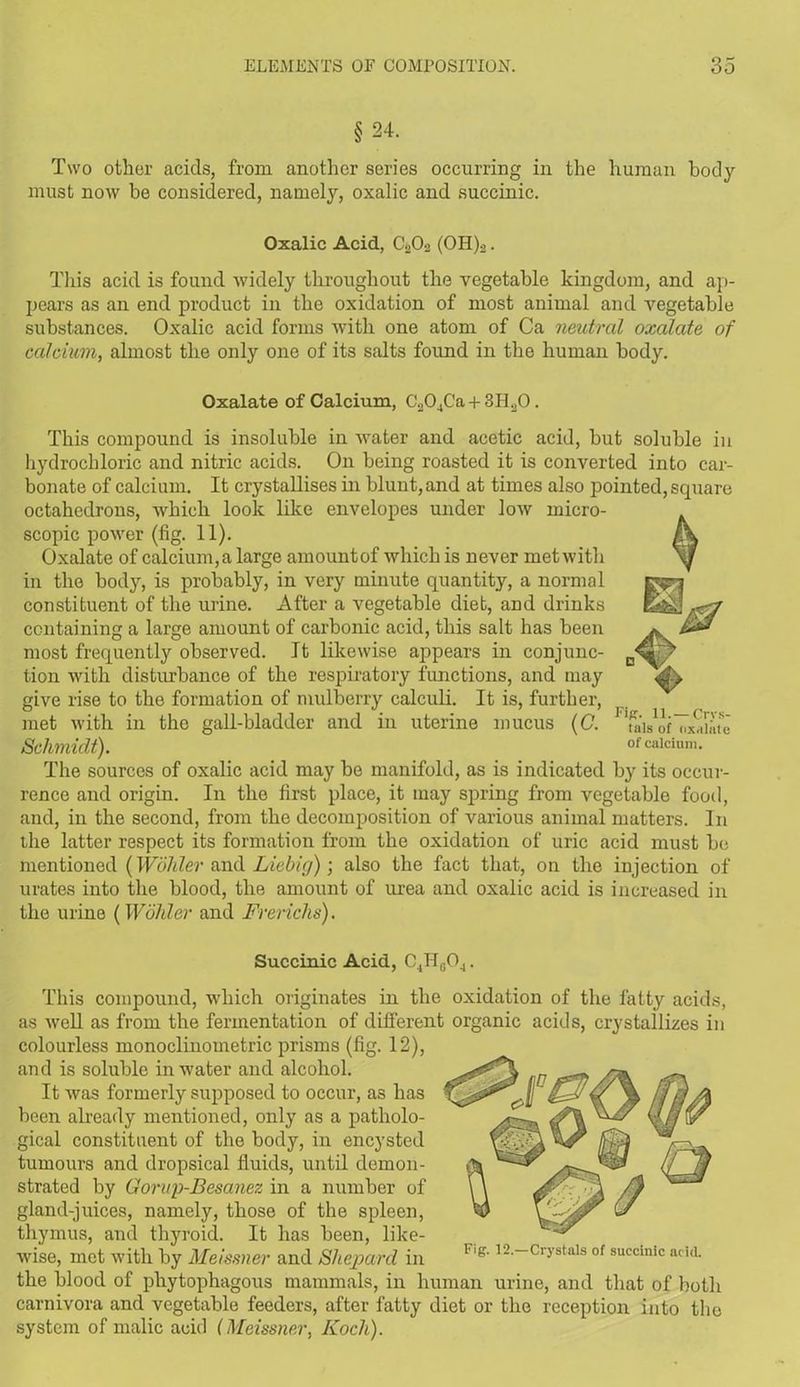 §24. Two other acids, from another series occurring in the human body must now be considered, namely, oxalic and succinic. Oxalic Acid, C202 (OH)2. This acid is found widely throughout the vegetable kingdom, and ap- pears as an end product in the oxidation of most animal and vegetable substances. Oxalic acid forms with one atom of Ca neutral oxalate of calcium, almost the only one of its salts found in the human body. Oxalate of Calcium, C204Ca + 3I-].,0. This compound is insoluble in water and acetic acid, but soluble in hydrochloric and nitric acids. On being roasted it is converted into car- bonate of calcium. It crystallises in blunt, and at times also pointed, scpiare octahedrons, which look like envelopes under low micro- scopic power (fig. 11). Oxalate of calcium, a large amountof which is never met with in the body, is probably, in very minute quantity, a normal constituent of the urine. After a vegetable diet, and drinks containing a large amount of carbonic acid, this salt has been most frequently observed. It likewise appears in conjunc- tion with disturbance of the respiratory functions, and may give rise to the formation of mulberry calculi. It is, further, met with in the gall-bladder and in uterine mucus (C. 1 'tau^fTxainie Schmidt). of calcium. The sources of oxalic acid may be manifold, as is indicated by its occur- rence and origin. In the first place, it may spring from vegetable food, and, in the second, from the decomposition of various animal matters. In the latter respect its formation from the oxidation of uric acid must be mentioned (Wohler and Liebig); also the fact that, on the injection of urates into the blood, the amount of urea and oxalic acid is increased in the urine (Wohler and Frerichs). Succinic Acid, C.,Hc04. This compound, which originates in the oxidation of the fatty acids, as well as from the fermentation of different organic acids, crystallizes in colourless monoclinometric prisms (fig. 12), and is soluble in water and alcohol. It was formerly supposed to occur, as has been already mentioned, only as a patholo- gical constituent of the body, in encysted tumours and dropsical fluids, until demon- strated by Gorup-Besanez in a number of gland-juices, namely, those of the spleen, thymus, and thyroid. It has been, like- wise, met with by Meissner and Shepard in l'l&' 12-_Crystals of succinic acid, the blood of phytophagous mammals, in human urine, and that of both carnivora and vegetable feeders, after fatty diet or the reception into the system of malic acid (Meissner, Koch).