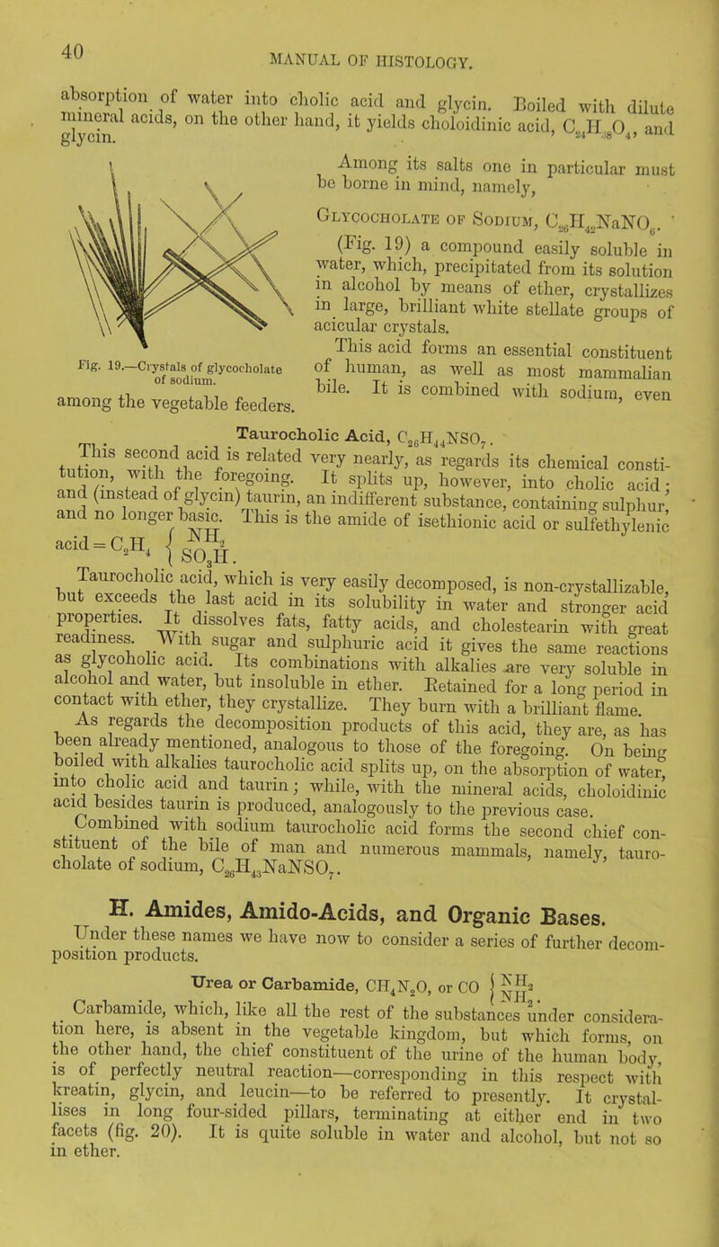 MANUAL OF HISTOLOGY. absorption of water into cholic acid and glycin. Boiled with dilute mineral acids, on the other hand, it yields clioloidinic acid, C H 0 and glycin. 24 18 4 > Fig. 19.—Crystals of glycocliolate of sodium. among the vegetable feeders. Among its salts one in particular must be borne in mind, namely, Glycocholate of Sodium, O^H^UaNO,.. ' (Fig. 19) a compound easily soluble in water, which, precipitated from its solution in alcohol by means of ether, crystallizes in large, brilliant white stellate groups of acicular crystals. This acid forms an essential constituent of human, as well as most mammalian bile. It is combined with sodium, even Tauroclaolic Acid, C26H44NS07. tnHnnS WWb'1 “ reIated T7 nearly’ as reSards its chemical consti- 17 ’ l ? fhf f01;efmg- Tt sPlifcs llP> however, into cholic acid: and (instead of glycin) taurm, an indifferent substance, containing sulphur and no longer basic. Ibis is the amide of isethionic acid or sulfethylenic acid-C.H.{g^ Taurocholic acid, which is very easily decomposed, is non-crystallizable, but exceeds the last acid m its solubility in water and stronger acid properties. It dissolves fats, fatty acids, and cholestearin with great readiness. With sugar and sulphuric acid it gives the same reactions as glycohohc acia. Its combinations with alkalies are very soluble in alcohol and water, but insoluble in ether. Eetained for a long period in contact with ether, they crystallize. They burn with a brilliant flame. As regards the decomposition products of this acid, they are, as has been already mentioned, analogous to those of the foregoing. On being boiled with alkalies taurocholic acid splits up, on the absorption of water! into cholic acid and taurin; while, with the mineral acids, clioloidinic acid besides taurin is produced, analogously to the previous case. Combined with sodium taurocholic acid forms the second chief con- stituent of the bile of man and numerous mammals, namely, tauro- cholate of sodium, C2SH4;jNaUS07. H. Amides, Amido-Acids, and Organic Bases. Under these names we have now to consider a series of further decom- position products. Urea or Carbamide, CH4N20, or CO j . Carbamide, which, like all the rest of the substances under considera- tion here, is absent in the vegetable kingdom, but which forms, on the other hand, the chief constituent of the urine of the human body, is of perfectly neutral reaction—corresponding in this respect with kreatin, glycin, and leiicin—to be referred to presently. It crystal- lises in long four-sided pillars, terminating at either end in two facets (fig. 20). It is quite soluble in water and alcohol, but not so in ether.