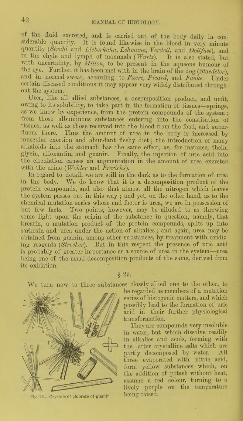 MANUAL OF HISTOLOGY. ot tho fluid excreted, and is carried out of the body daily in con- siderable quantity. It is found likewise in the blood in very minute quantity [Strahl and Lieberlcuhn, Lehmann, Verdeil, and JJollfuss), and in the chyle and lymph of mammals (Wurtz). It is also stated, but with uncertainty, by Milton, to be present in the aqueous humour of the eye. Further, it has been met with in tire brain of the dog (Staedeler), and in normal sweat, according to Favre, Picard, and FunJce. Under certain diseased conditions it may appear very widely distributed through- out the system. Urea, like all allied substances, a decomposition product, and unfit, owing to its solubility, to take part in the formation of tissues—springs, as we know by experience, from the protein compounds of the system ; from those albuminous substances entering into the constitution of tissues, as well as those received into the blood from the food, and super- fluous there. Thus the amount of urea in the body is increased by muscular exertion and abundant fleshy diet; the introduction of many alkaloids into the stomach has the same effect, as, for instance, thein, glycin, alloxantin, and guanin. Finally, the injection of uric acid into the circulation causes an augmentation in the amount of urea excreted with the urine (Wohler and Frerichs). In regard to detail, we are still in the dark as to the formation of urea in the body. We do know that it is a decomposition product of the protein compounds, and also that almost all the nitrogen which leaves the system passes out in this way; and yet, on the other hand, as to the chemical mutation series whose end factor is urea, we are in possession of but few facts. Two points, however, may be alluded to as tlirowing some light upon the origin of the substance in question, namely, that kreatin, a mutation product of the protein compounds, splits up into sarkosin and urea under the action of alkalies; and again, urea may be obtained from guanin, among other substances, by treatment with oxidiz- ing reagents (Streaker). But in this respect the presence of uric acid is probably of greater importance as a source of urea in the system—urea being one of the usual decomposition products of the same, derived from its oxidation. § 29. We turn now to three substances closely allied one to the other, to be regarded as members of a mutation series of histogenic matters, and which possibly lead to the formation of uric acid in their further physiological transformation. They are compounds very insoluble in water, but which dissolve readily in alkalies and acids, forming with the latter crystalline salts which are partly decomposed by water. All three evaporated with nitric acid, form yellow substances which, on the addition of potash without heat, assume a red colour, turning to a lively purple on the temperature being raised. Fig. 22.—Crystals of chlorate of guanin.